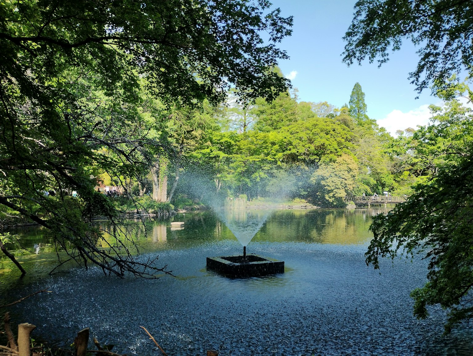 Un étang tranquille avec une fontaine entourée de verdure luxuriante