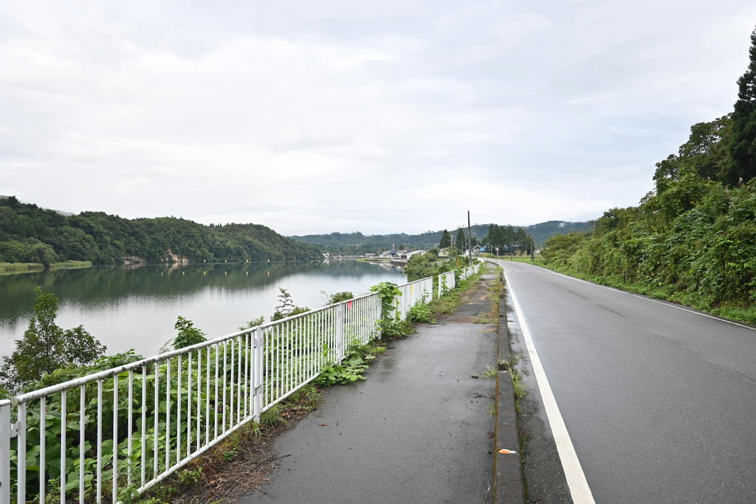 Route tranquille à côté d'un lac avec une végétation luxuriante