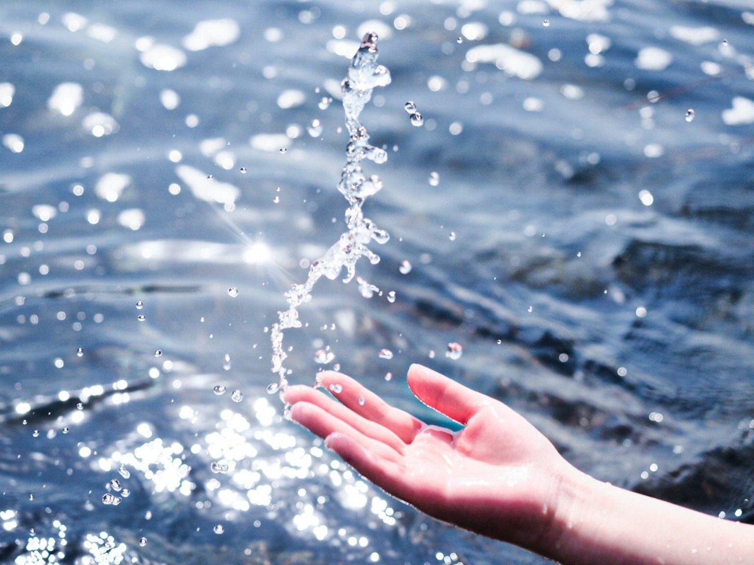 photo-VUS10tKWrGPLw3AJYYr2-image