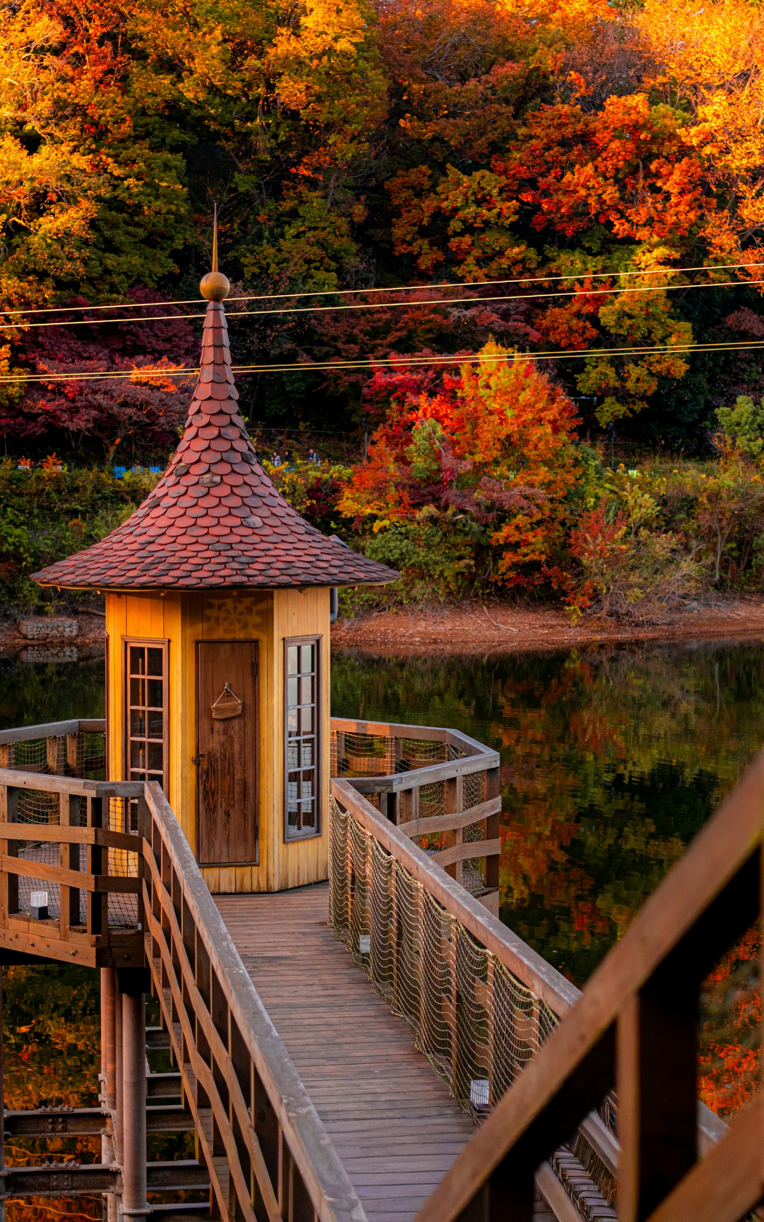 秋の色彩に囲まれた小さな展望台と木製の橋