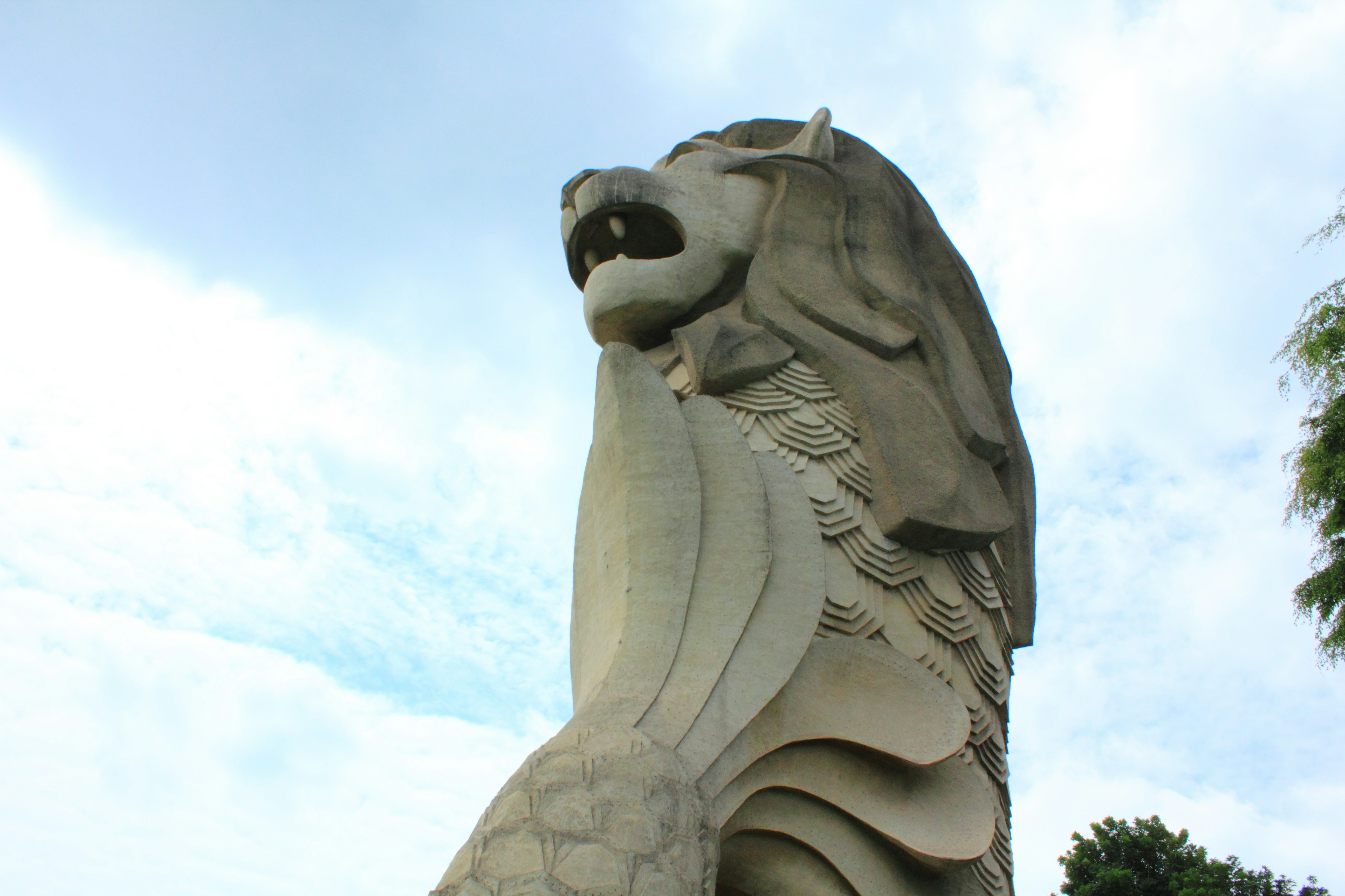 仰望天空的石獅雕像