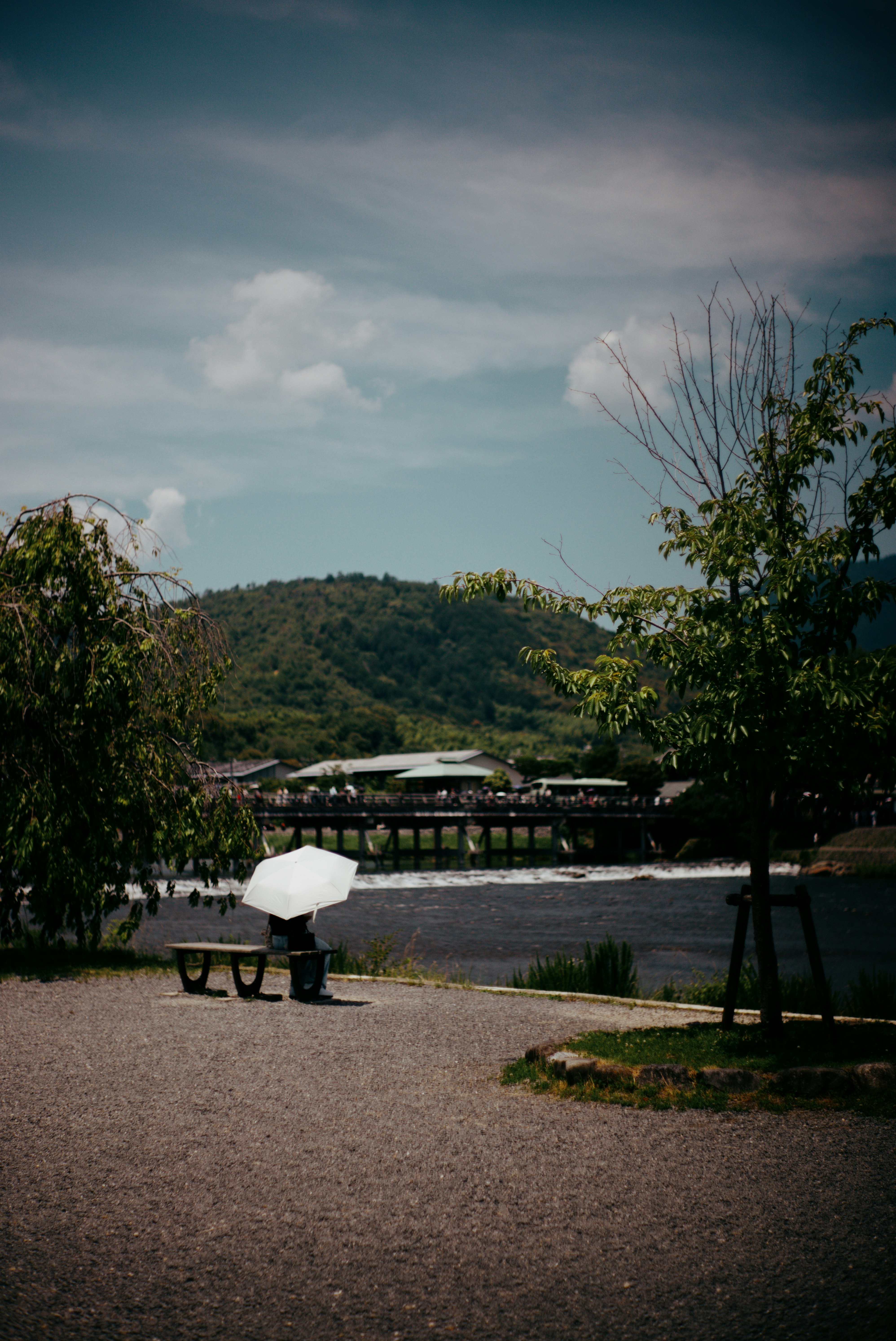 photo-VVcTbn22aDVTtLttWrRW-image