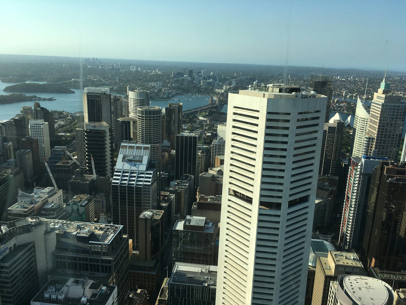 Vue de la skyline de Sydney avec des gratte-ciels et le port