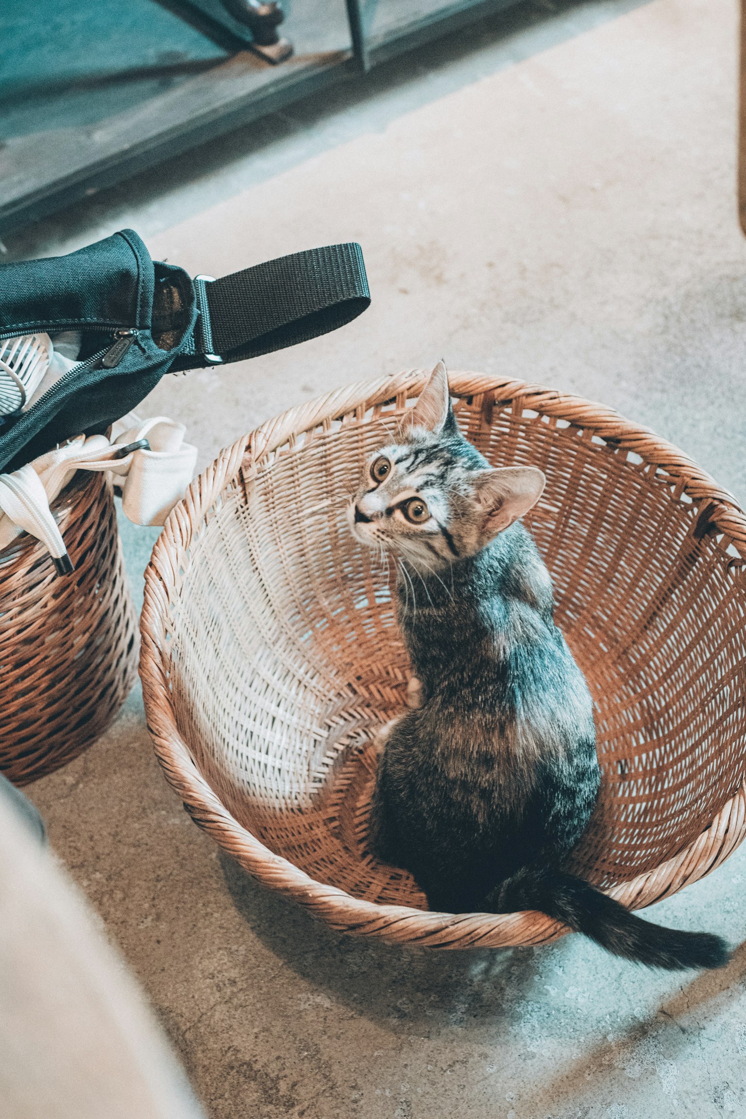 photo-VWF2XG5VQiNSmqCLWSLe-image