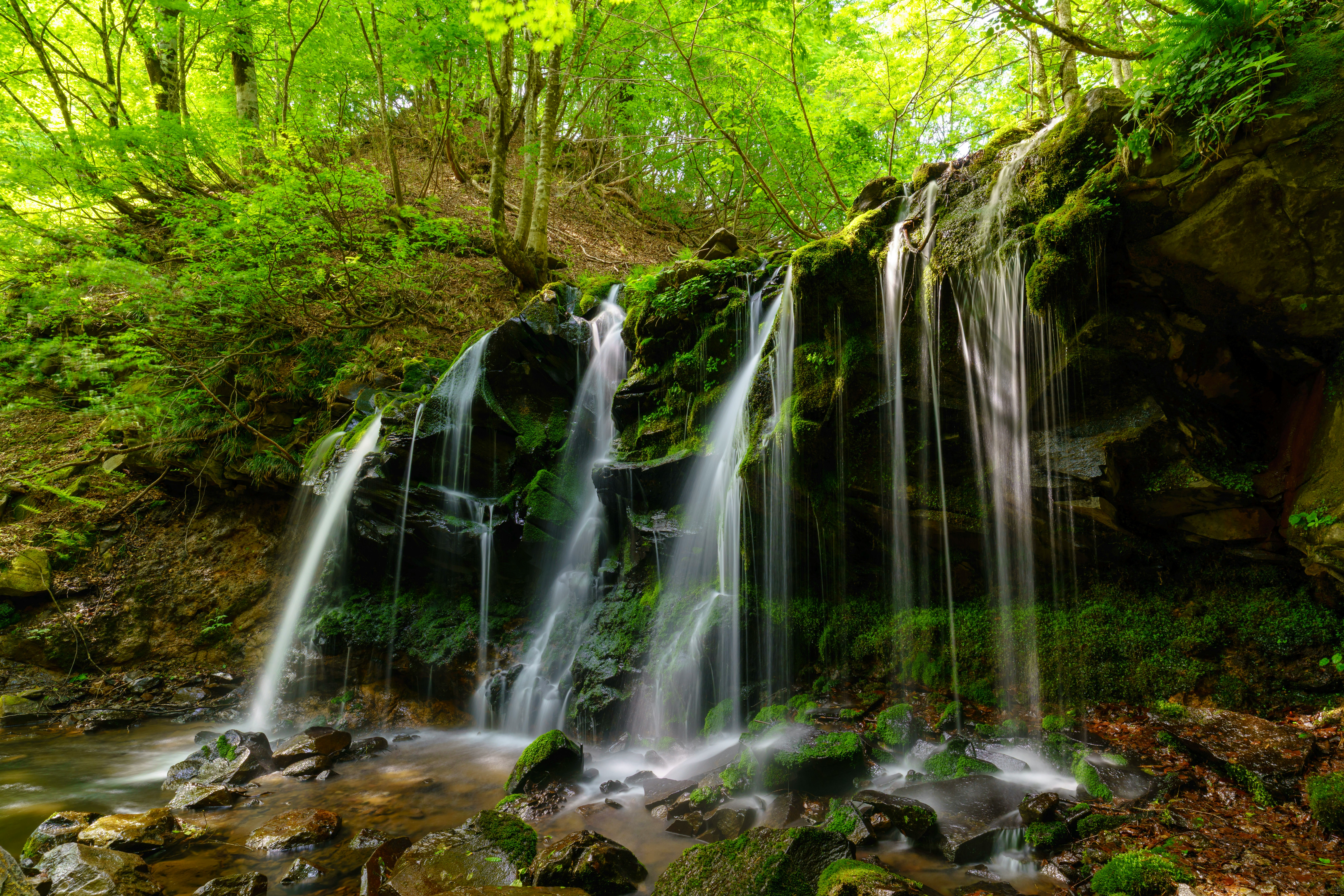 Una hermosa cascada que fluye a través de un entorno verde