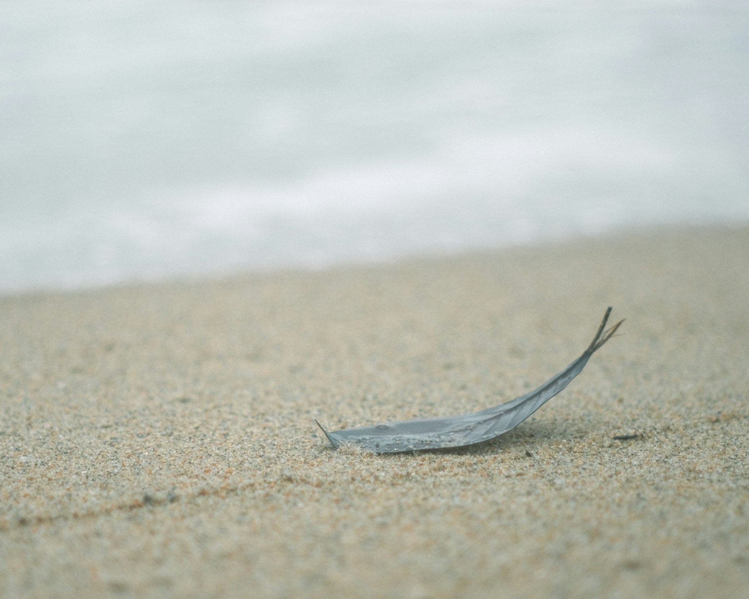 Una creatura blu simile a un pesce su una spiaggia di sabbia