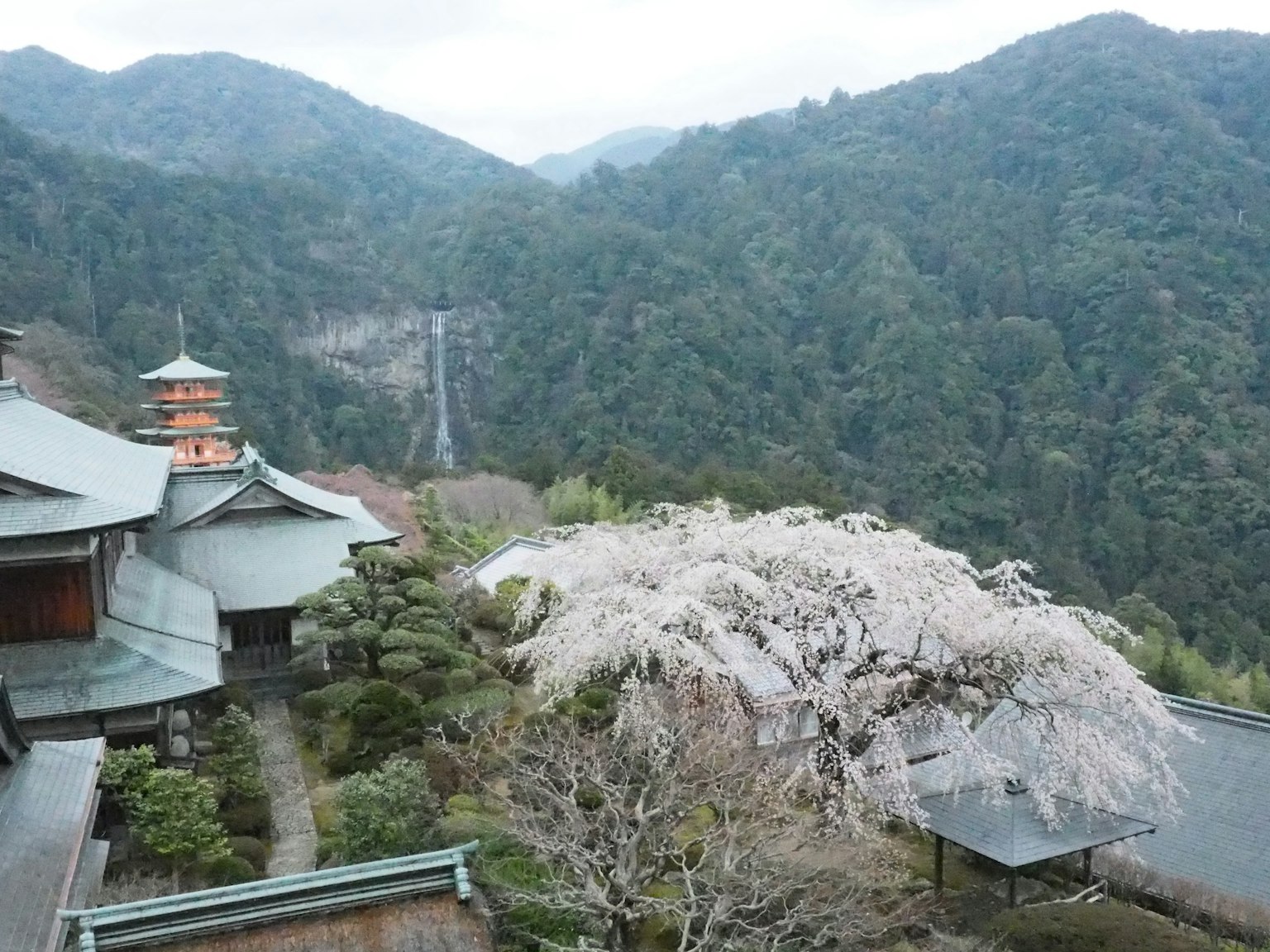 Bangunan tradisional Jepang dikelilingi pegunungan dengan pohon sakura dan air terjun