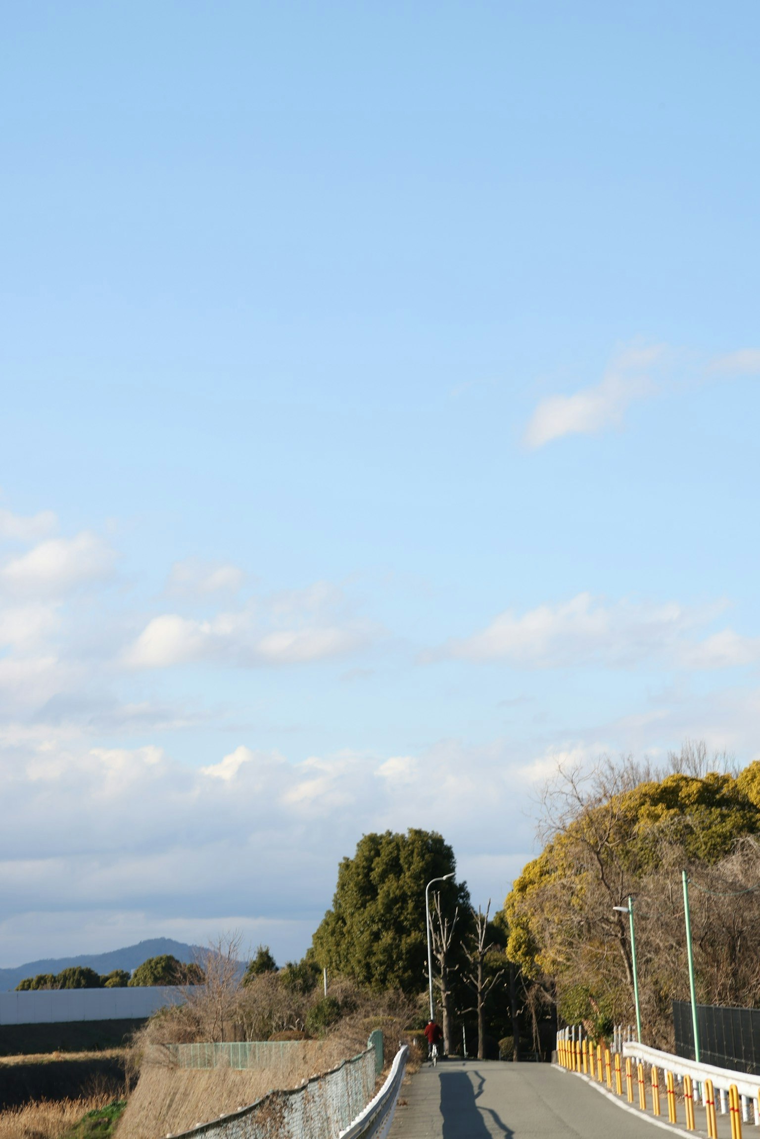 A road lined with trees under a blue sky with scattered clouds