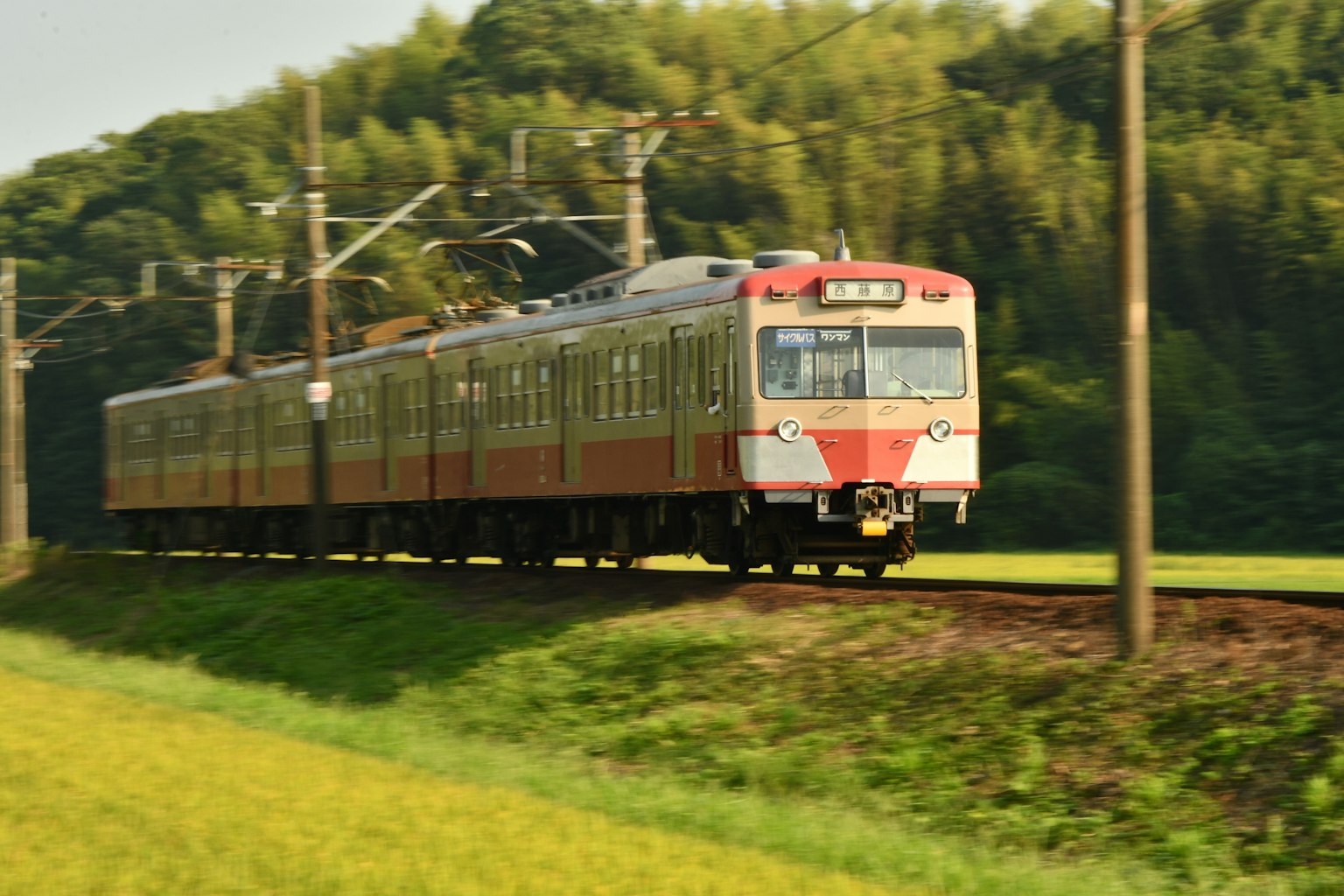 Red train running through a green countryside