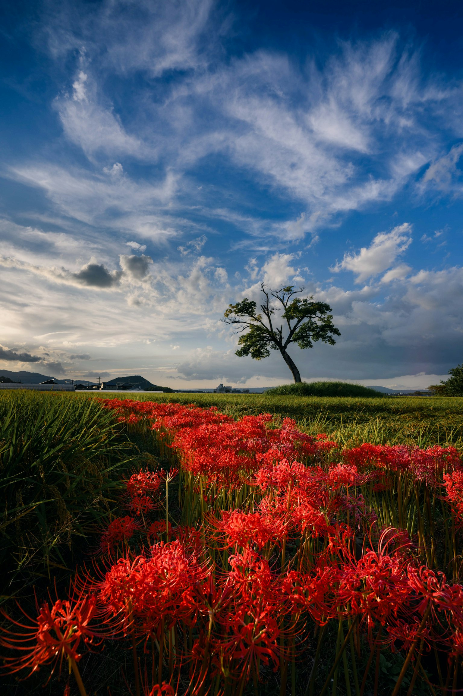 photo-VYICwVb16QdLKarQRxtk-image