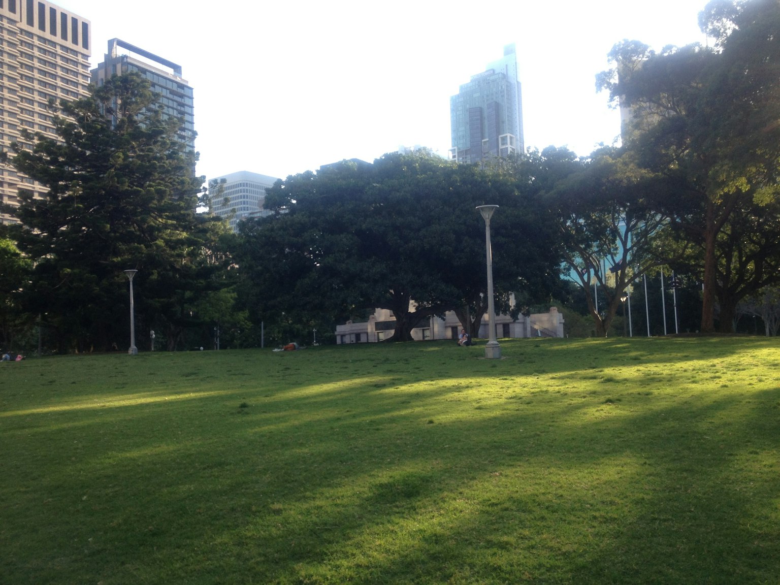 Pemandangan taman dengan rumput hijau dan gedung pencakar langit di latar belakang