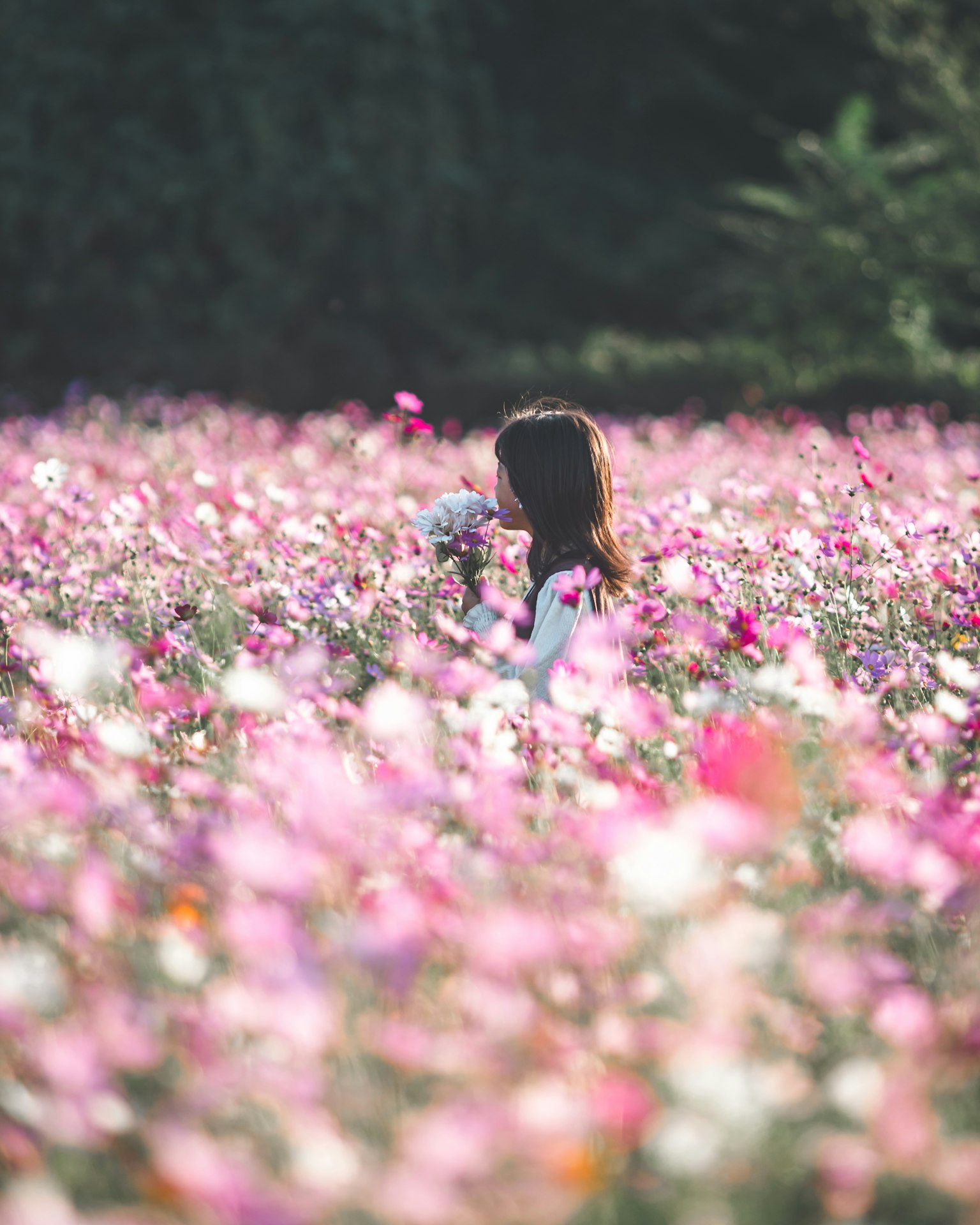 Silhouette di una donna che tiene un bouquet in un campo di fiori