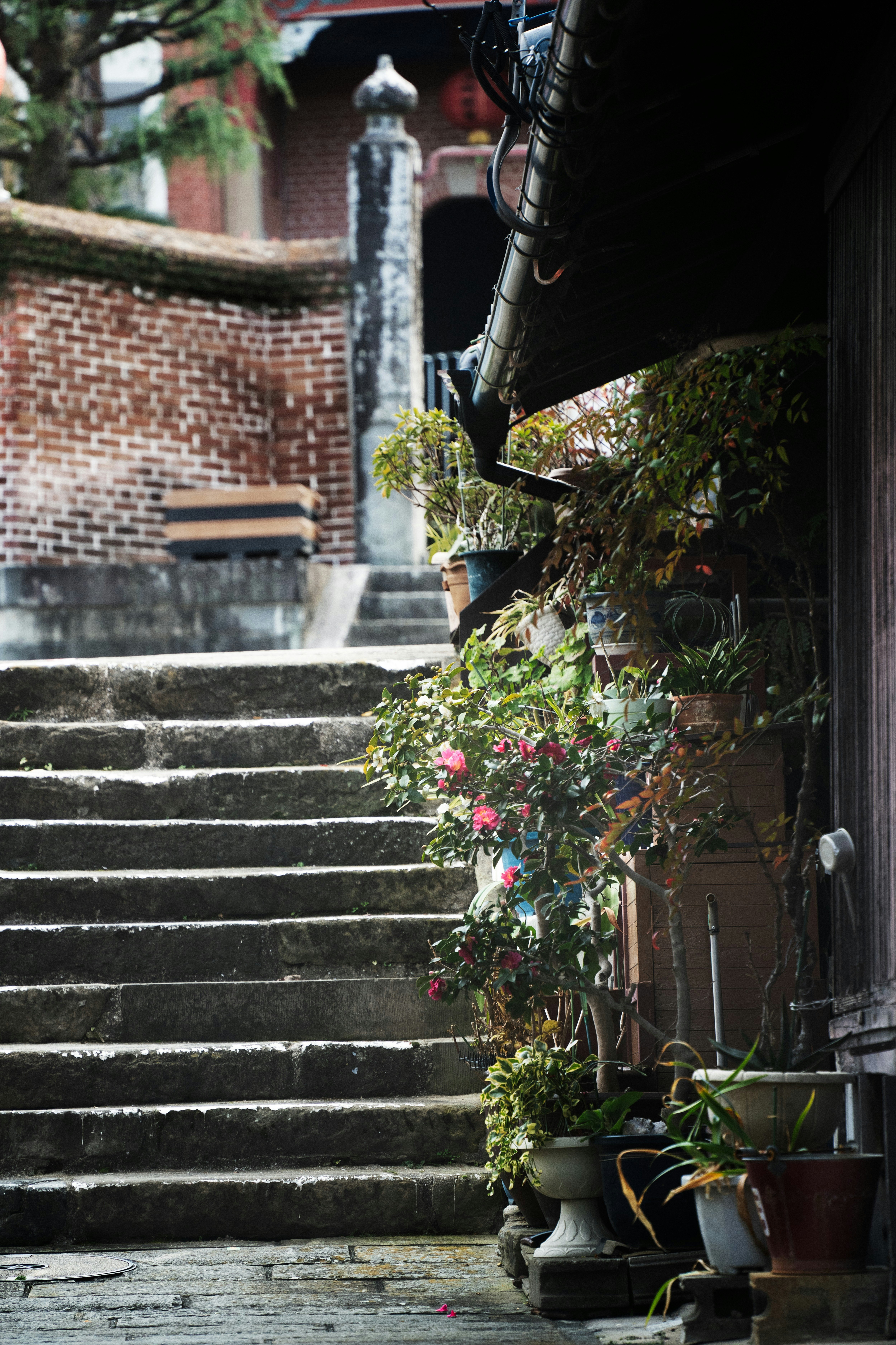 路地の石段と鉢植えが並ぶ長崎の街角