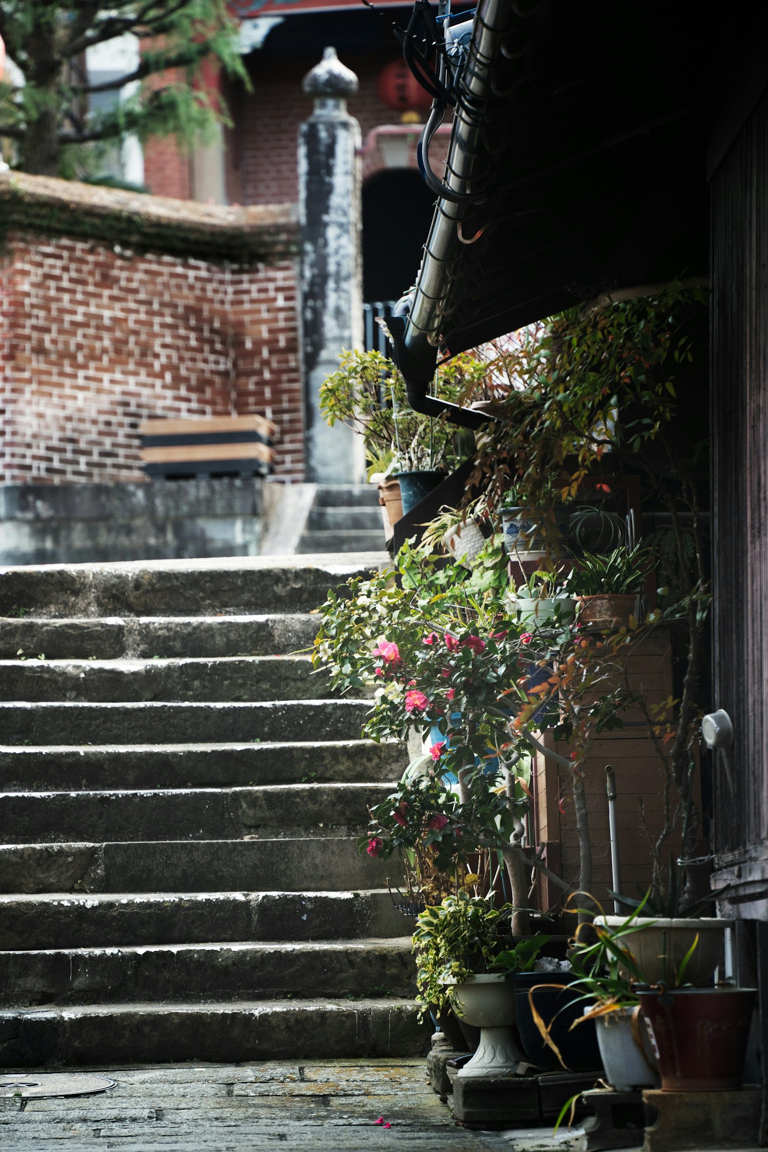 photo-VYgw2fj7zHT18PIr3G2G-image