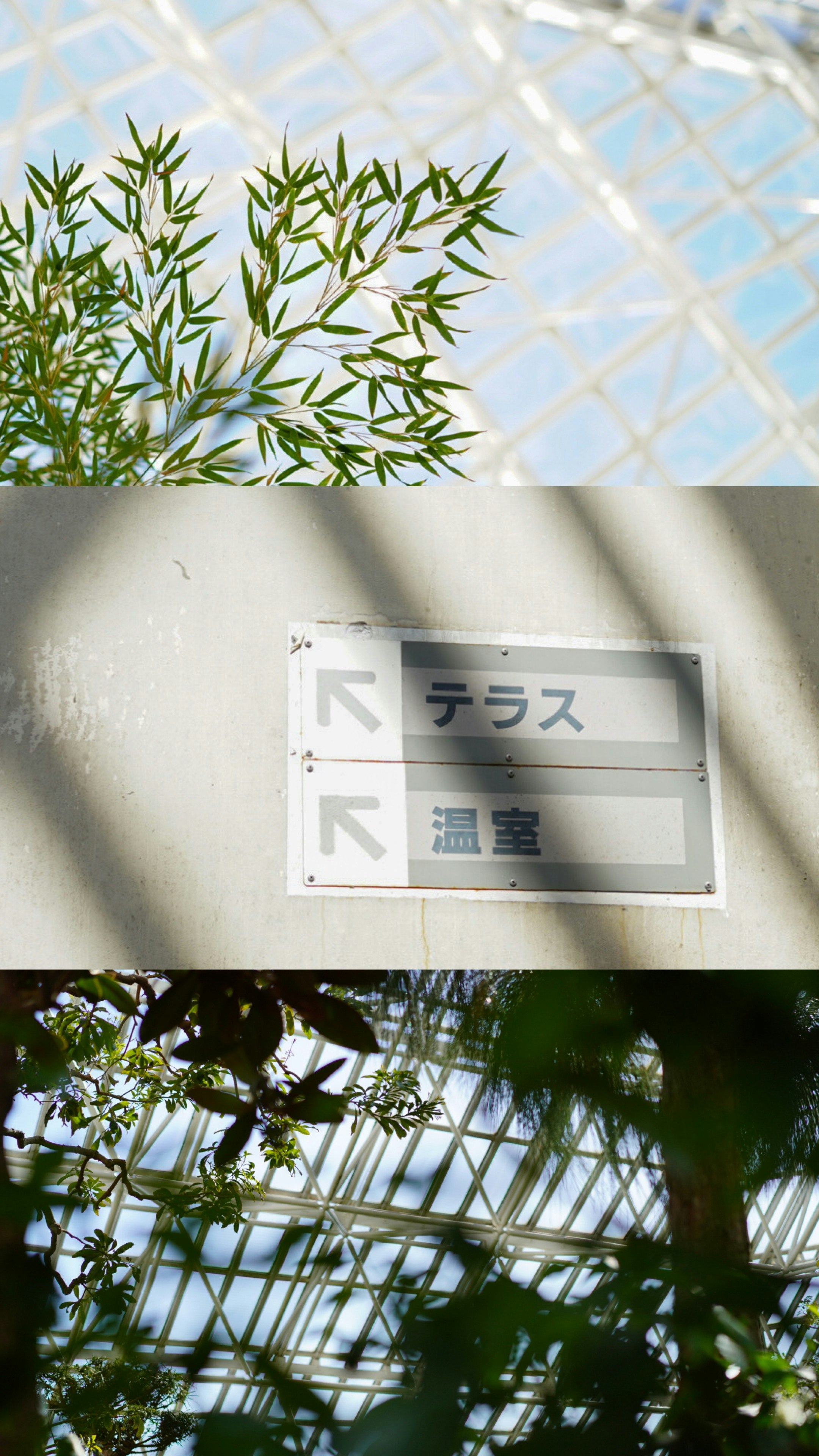 温室の案内標識と植物の葉