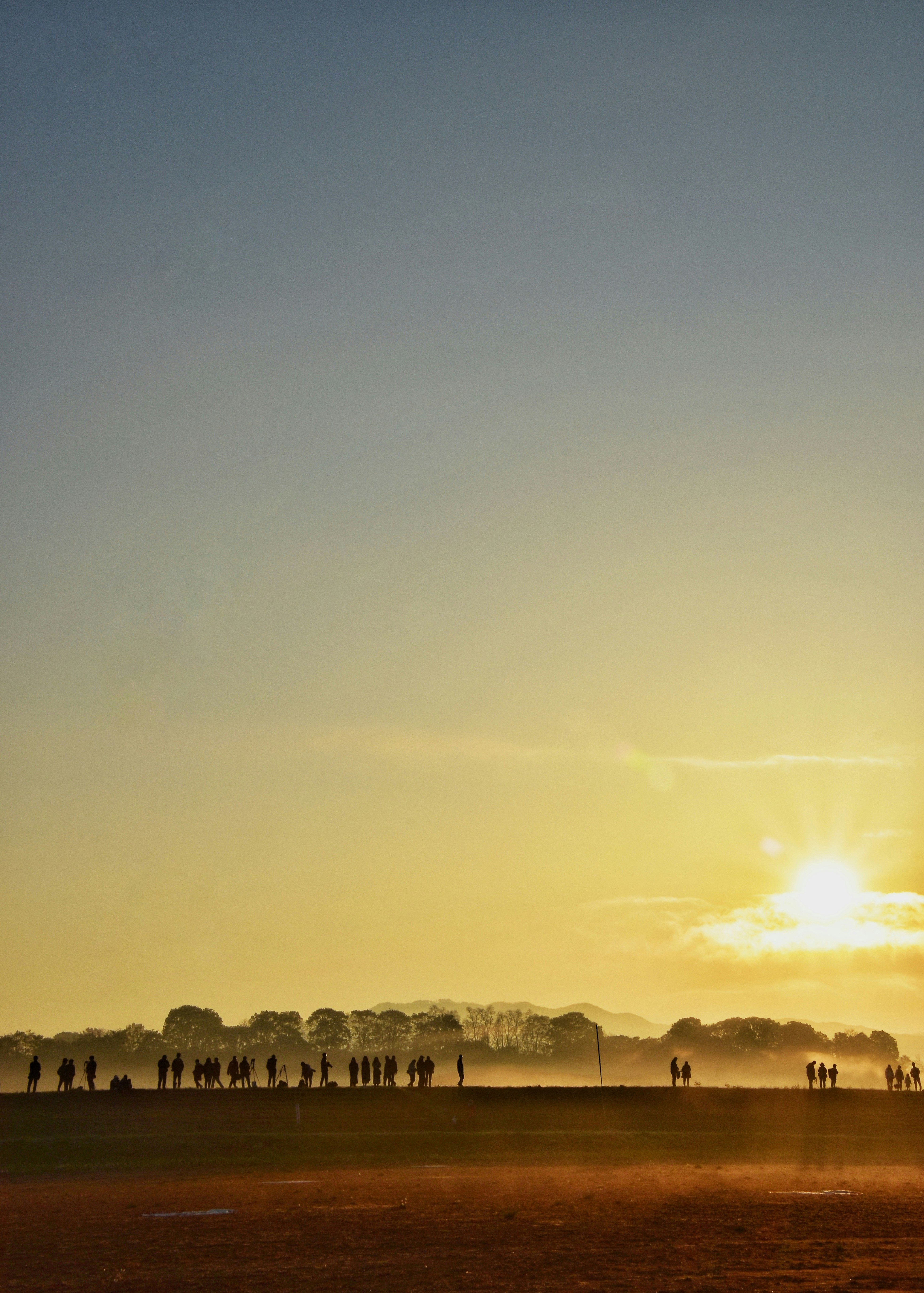 Hot air balloons over a misty grassy field with silhouetted people