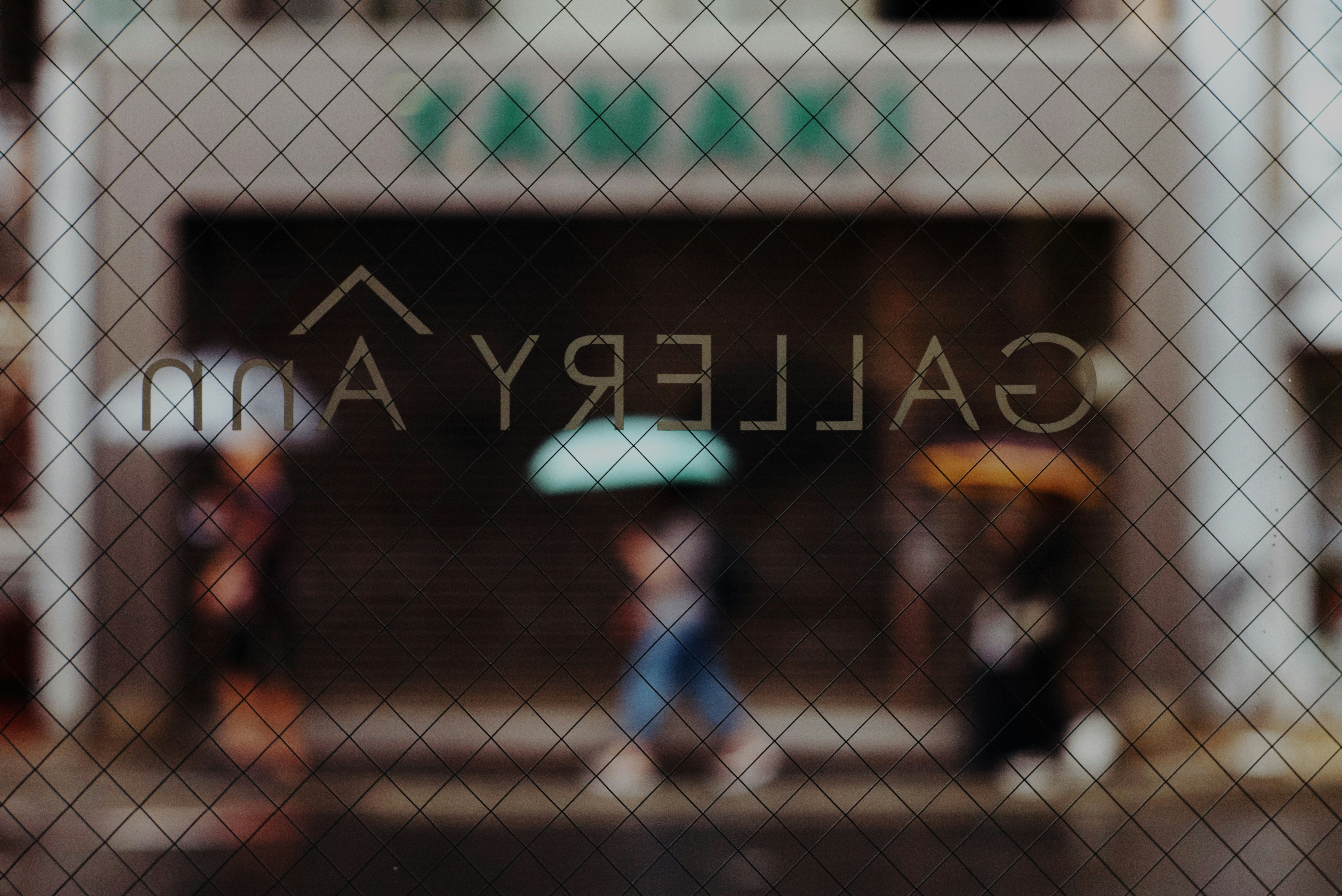 photo-VZxTsJsCCC4nnnFEayP4-image