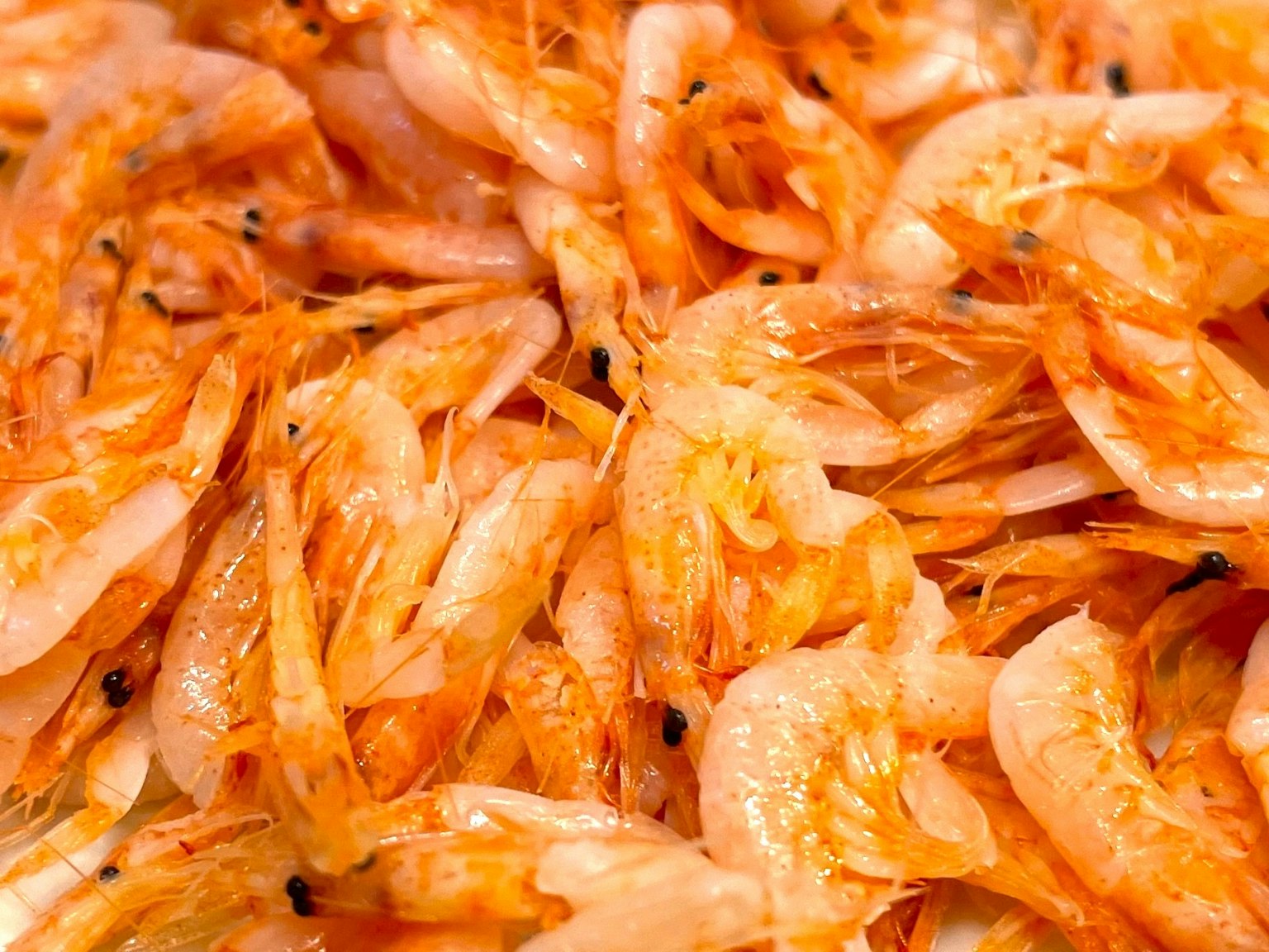 A close-up of numerous fresh shrimp piled together