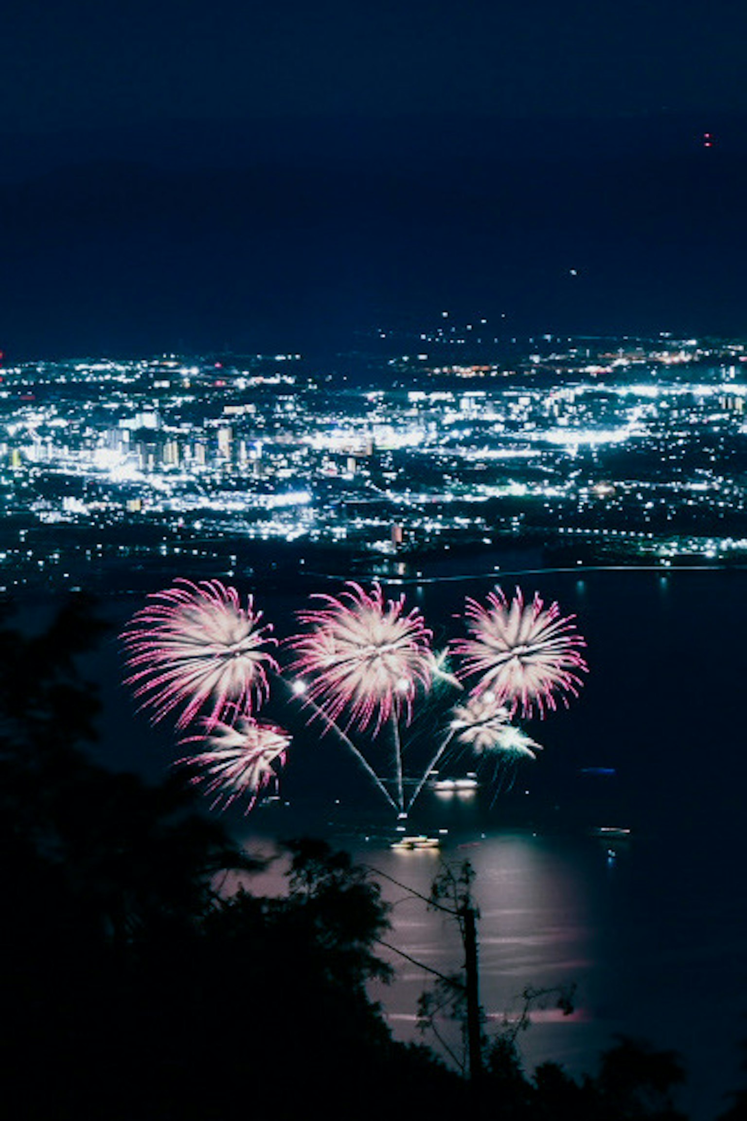 夜空中绽放的烟花与城市灯光的美丽景观