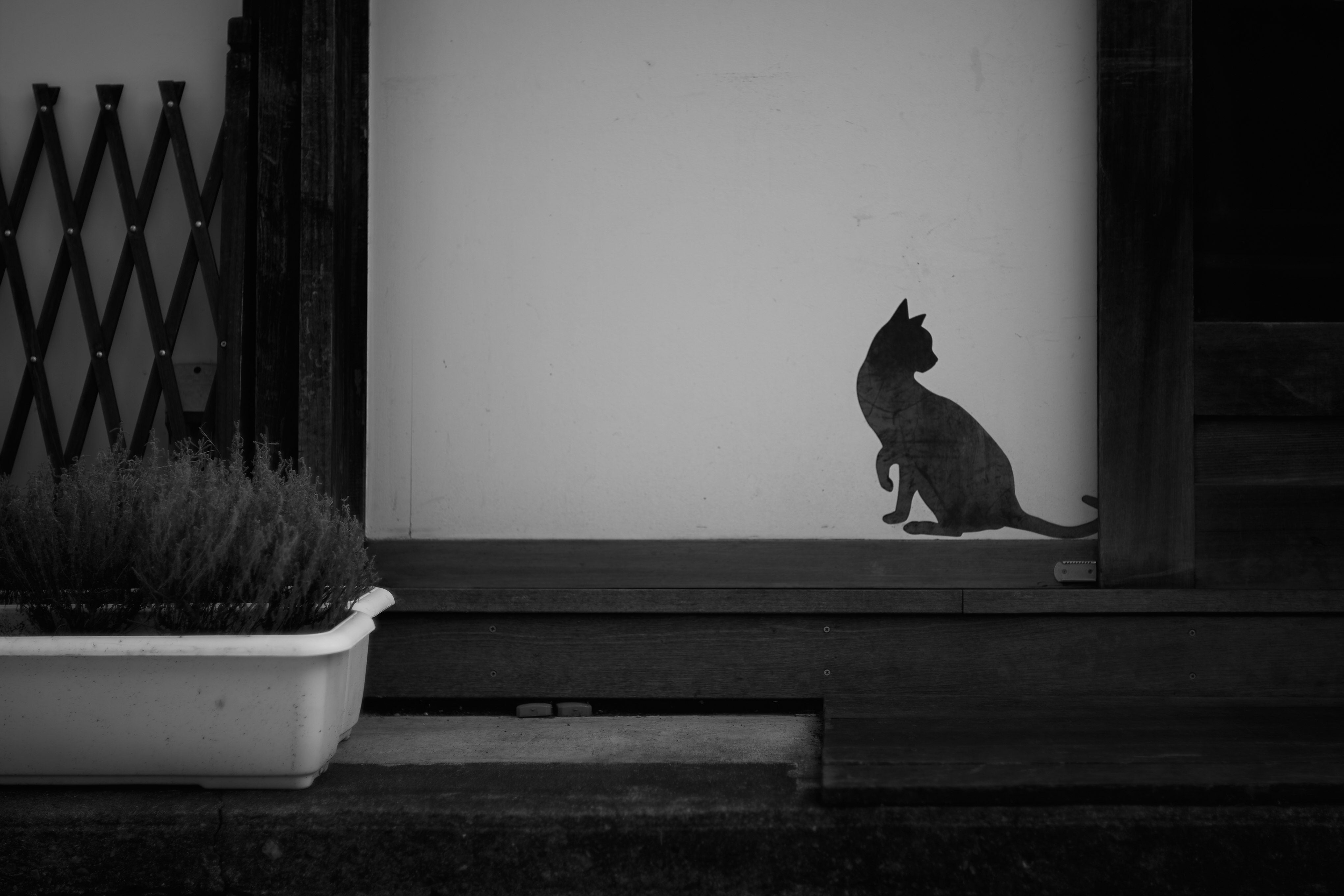 silhouette of a black cat sitting on a doorstep