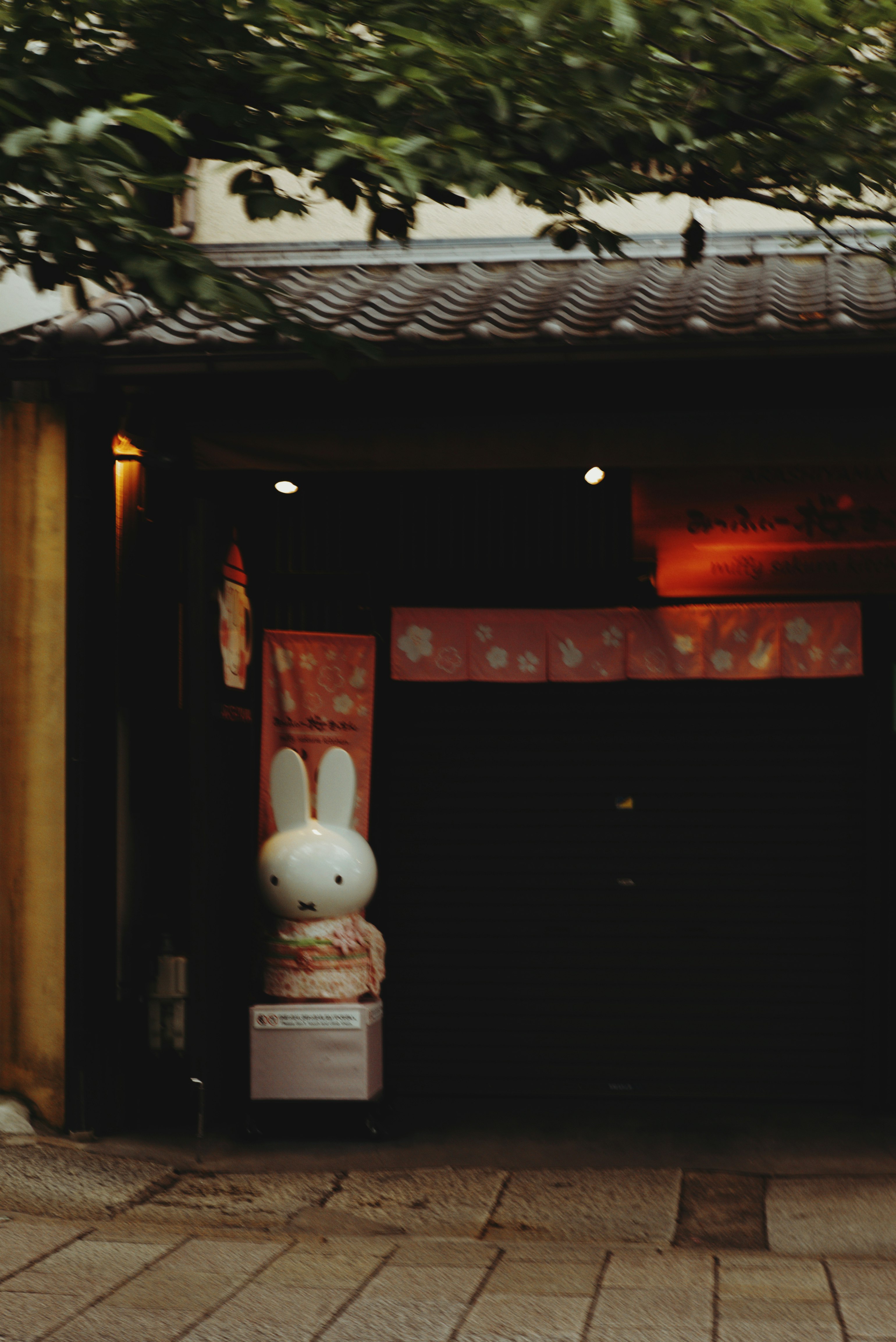 photo-Vbn0SDjnHJ9B43SxGHaR-image