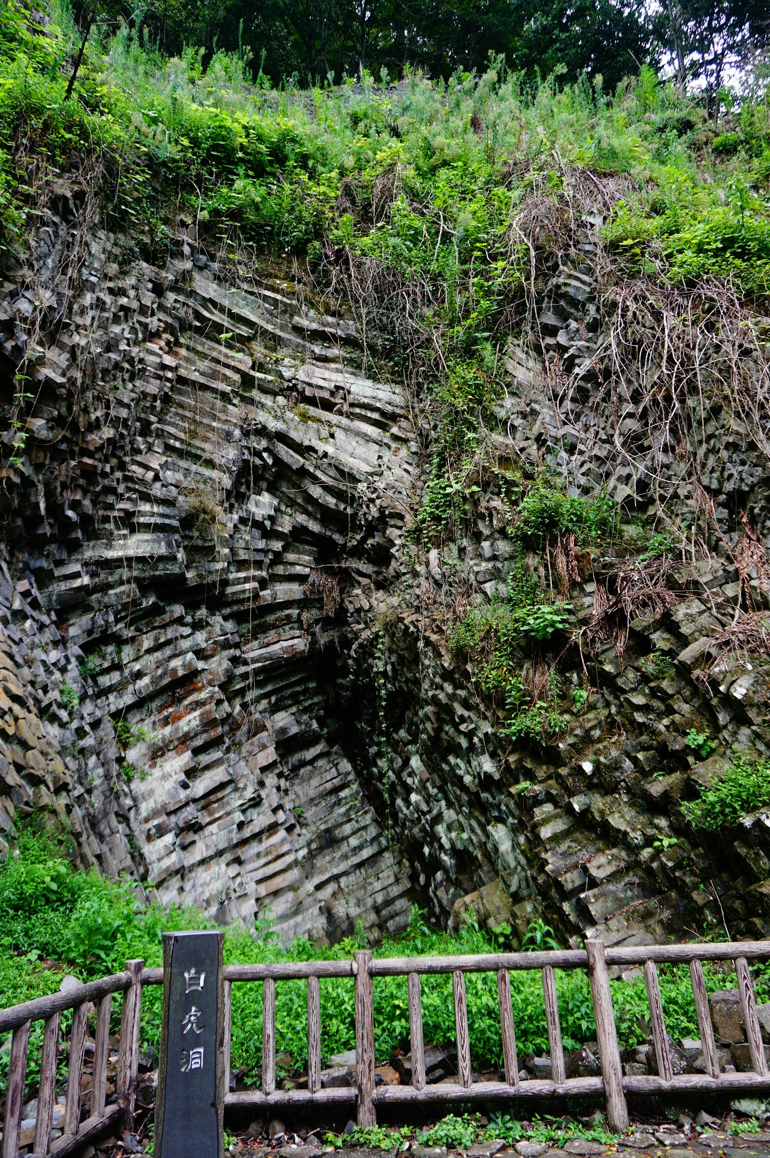 Freiliegender Felsen mit üppiger Vegetation und Holzgeländer