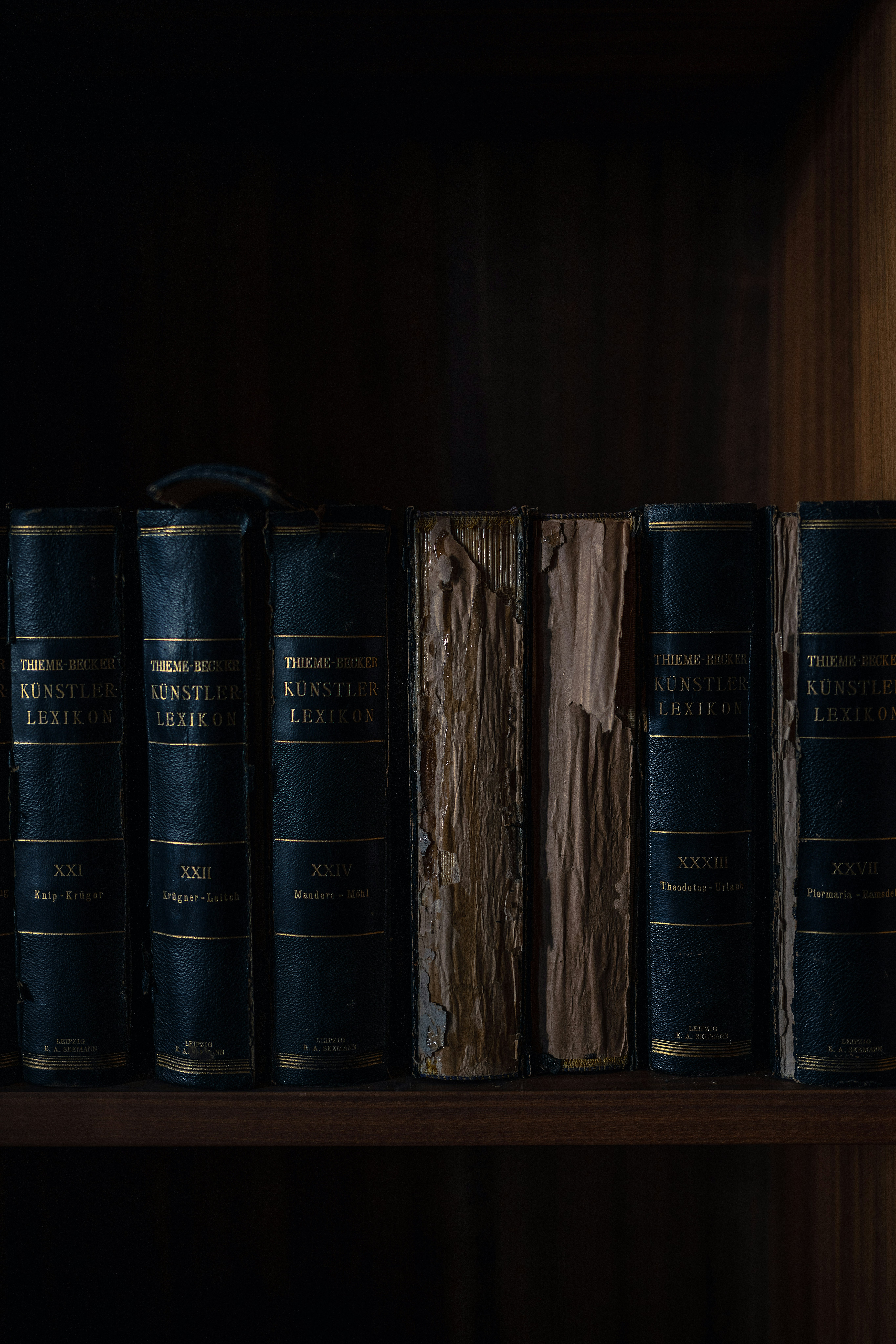 quiet study shelf with old books from the history forest