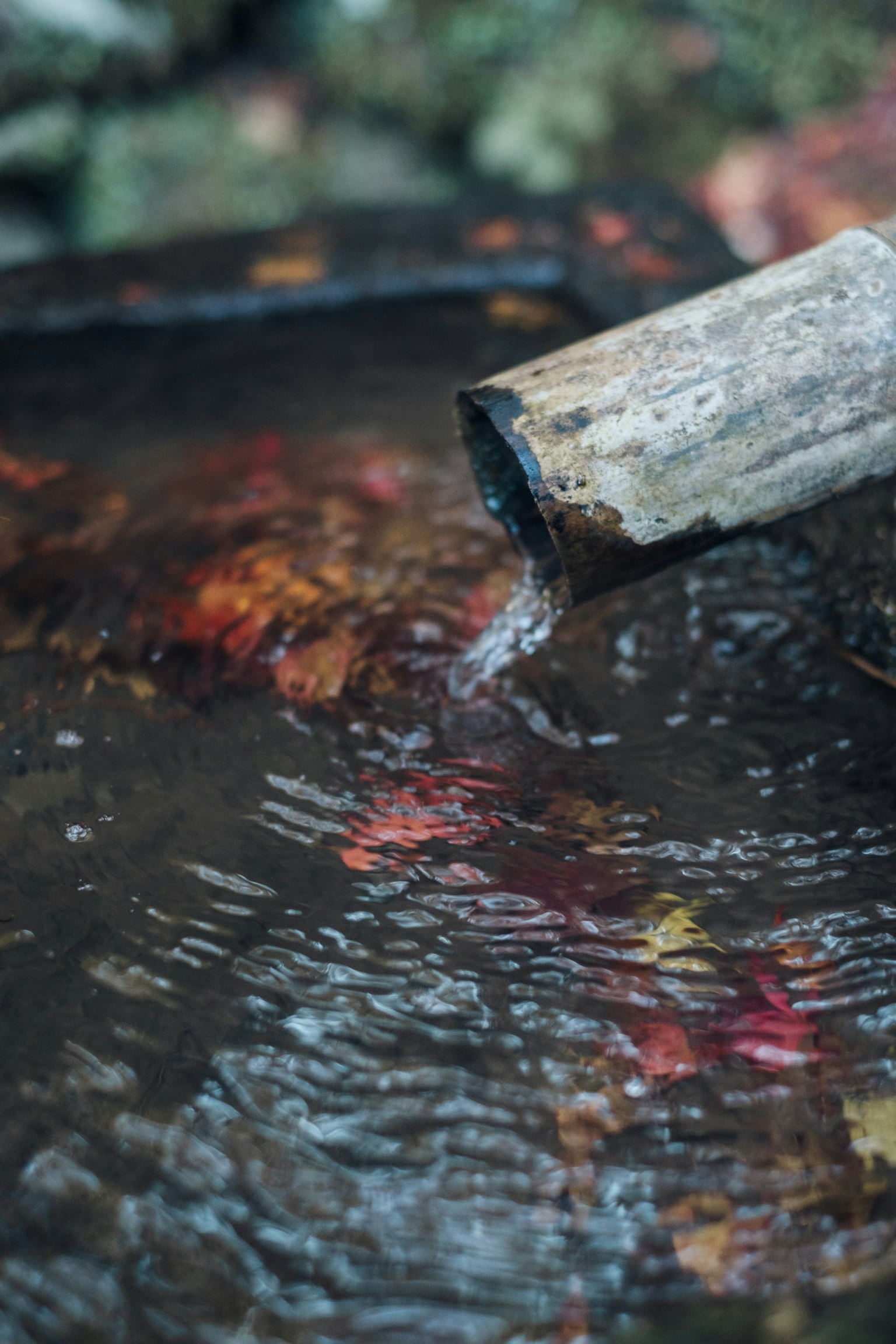 Kolam kecil dengan daun mengapung dan air mengalir dari pipa bambu