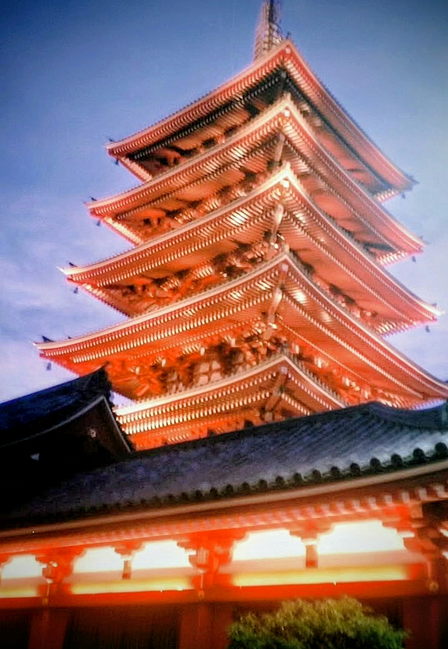 photo-VcY5W44JY1oAW6R5tgn4-image