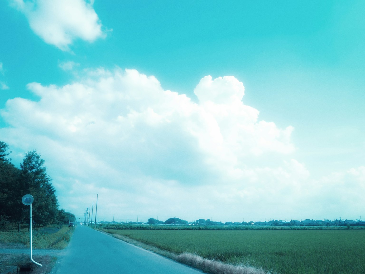 Route rurale avec un ciel bleu vif et des nuages blancs duveteux