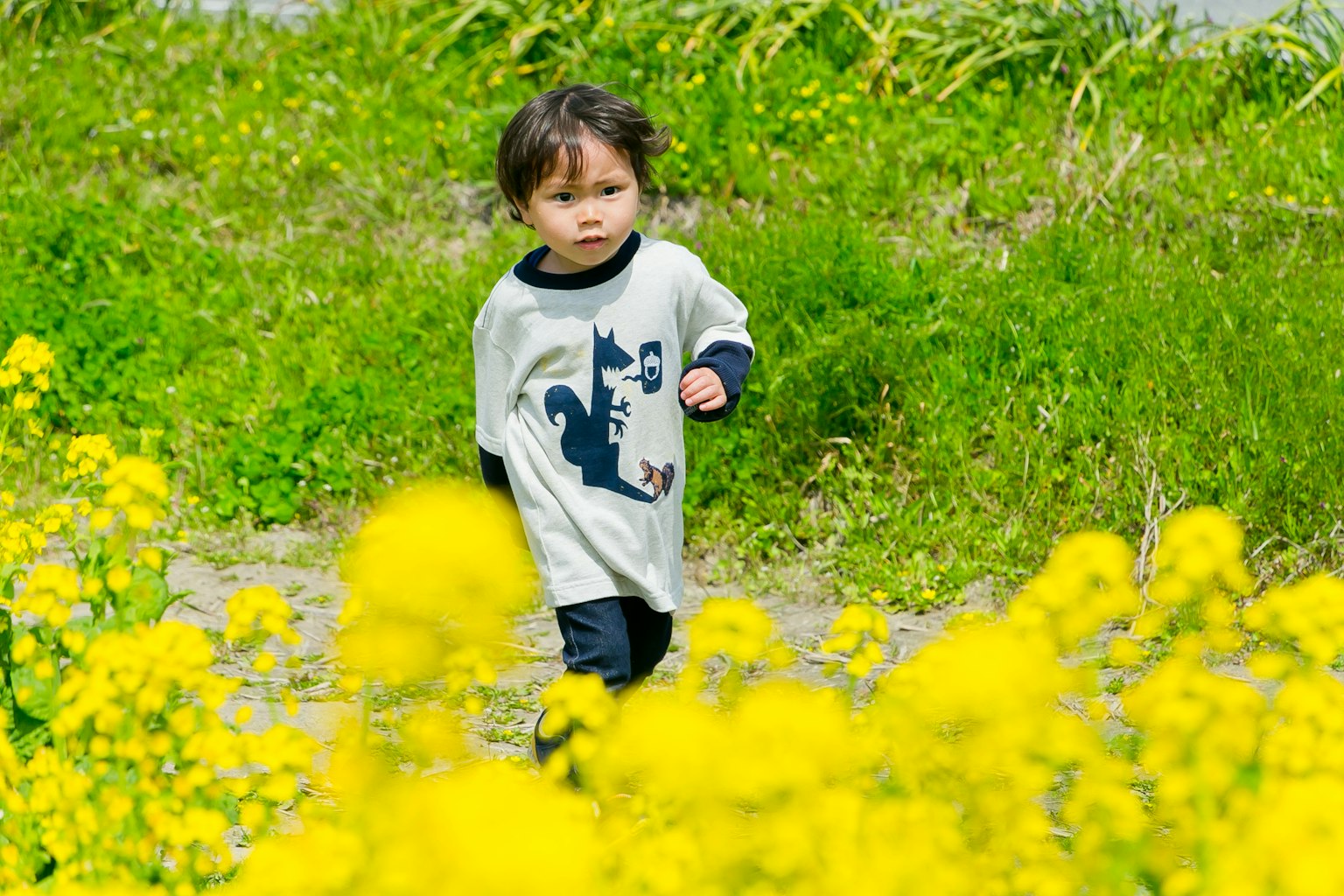 Bambino che corre tra fiori gialli