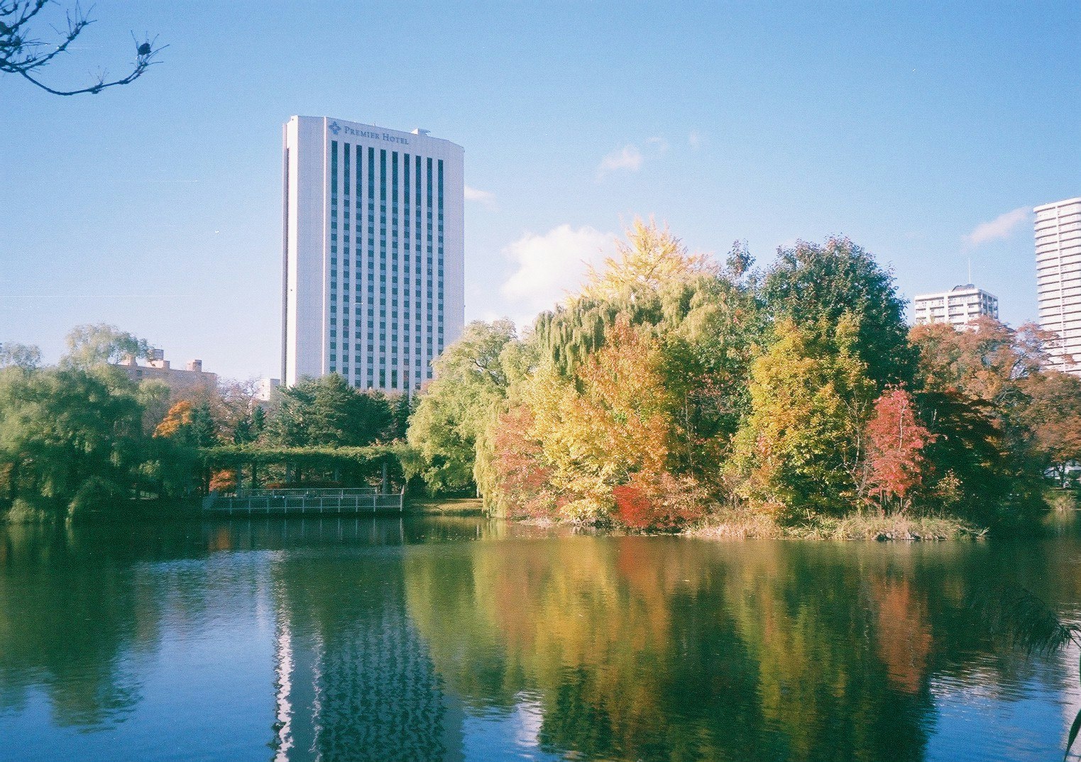 árboles de otoño y lago tranquilo con reflejos de edificios altos
