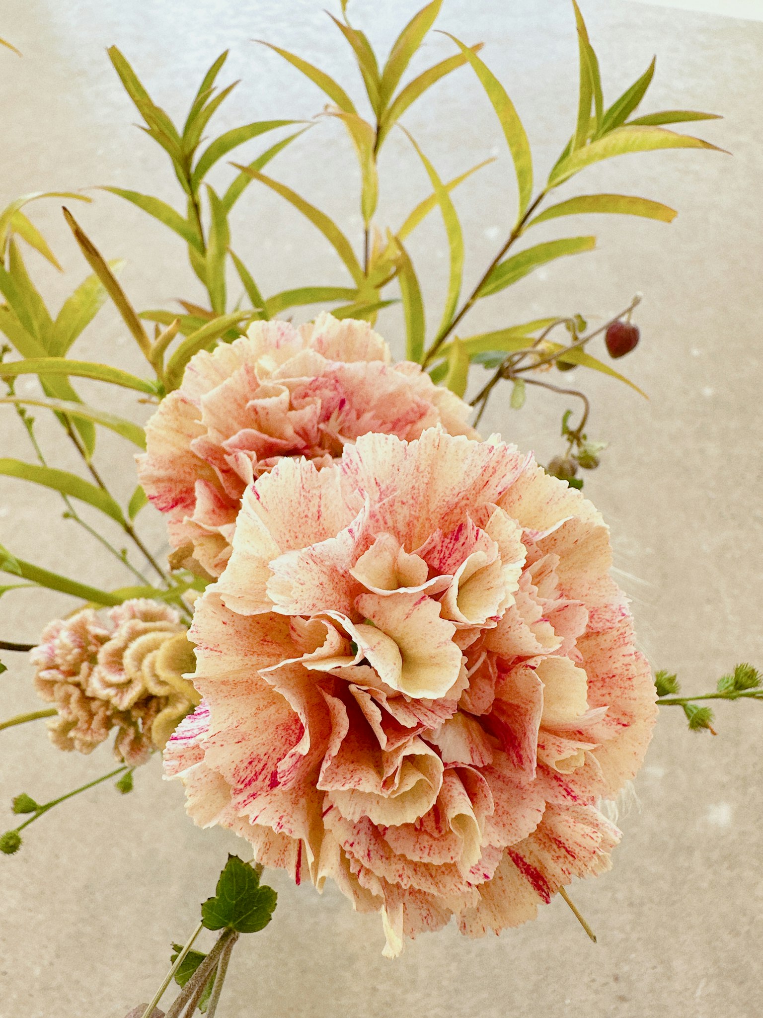 Floral arrangement featuring pink carnations and green leaves