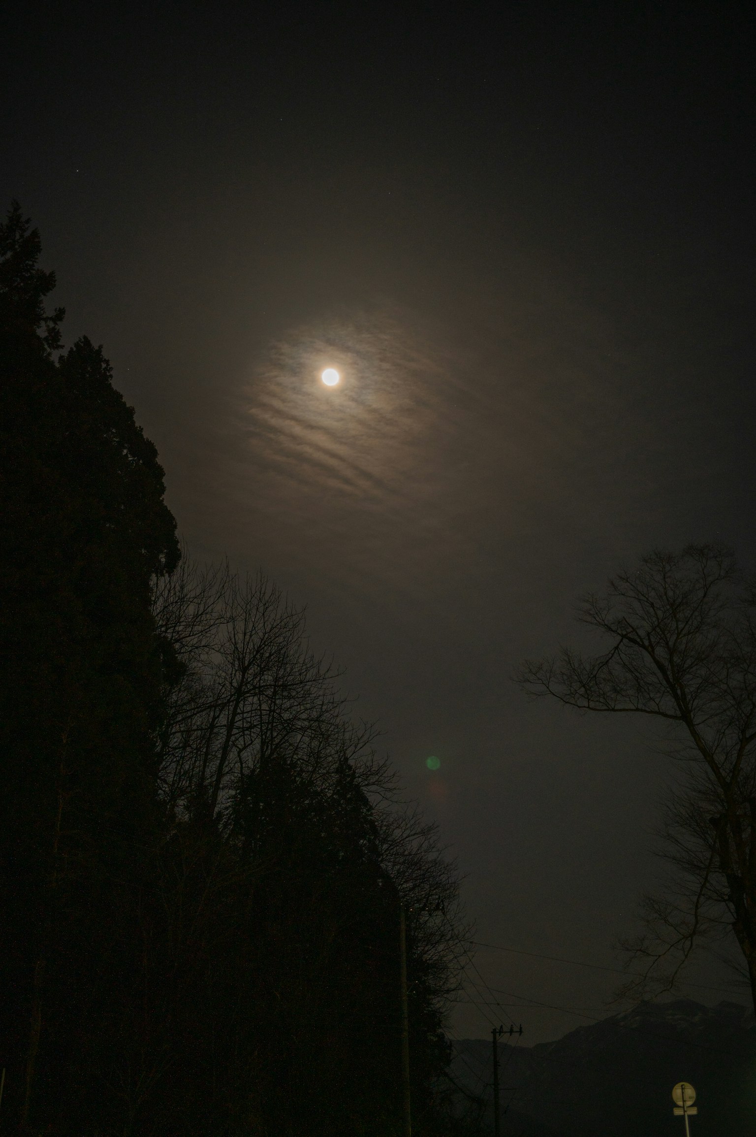 photo-VdvXbK8by4YC5HYYKXXA-image