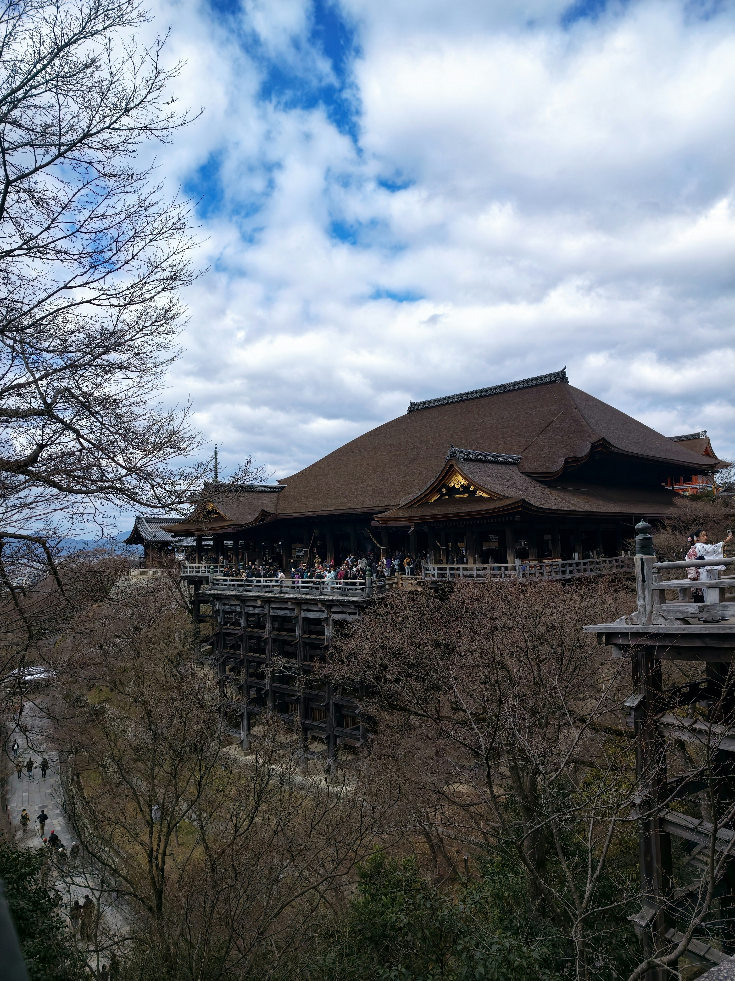 木々の向こうに見える寺院の屋根と回廊