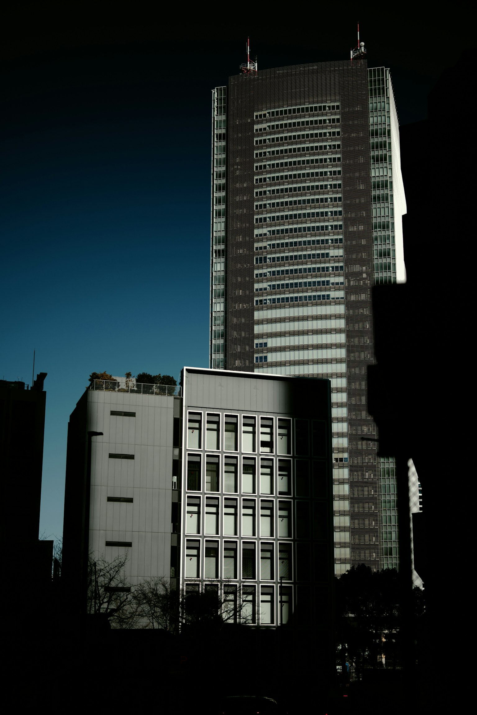 城市风景,特征是高楼大厦和较矮的建筑