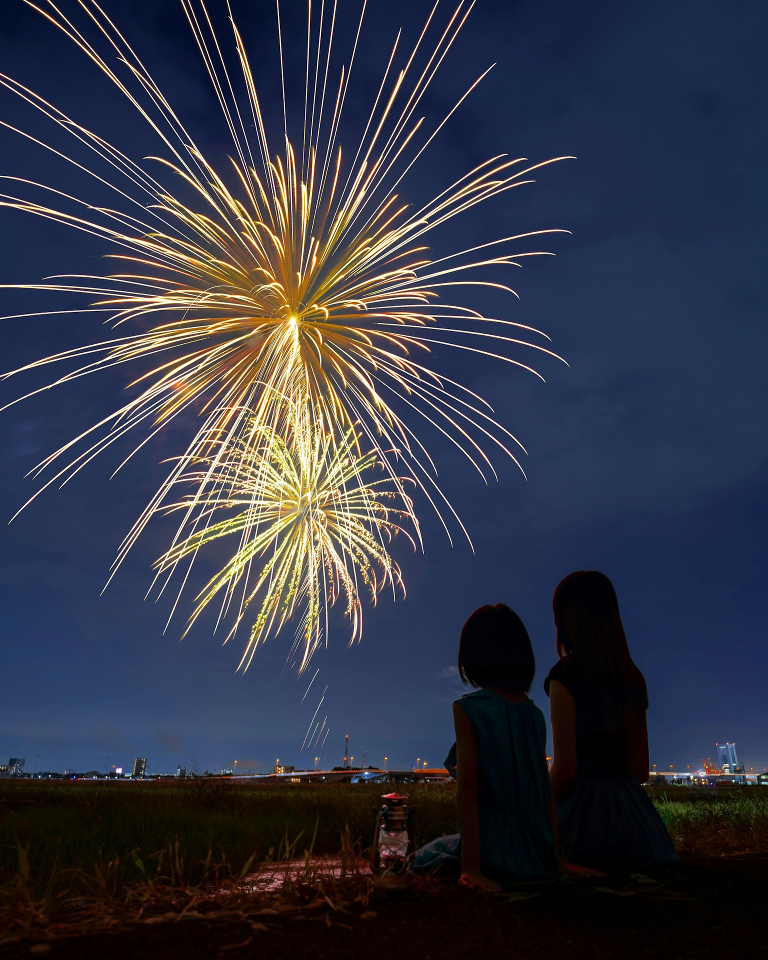 Two children watching fireworks in the night sky
