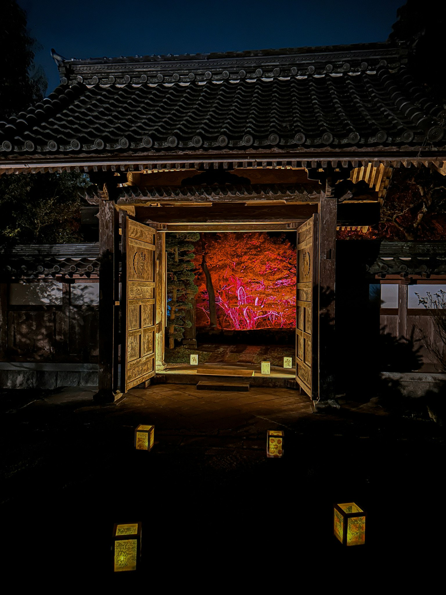 夜间传统日本建筑的门口，映出红色艺术作品和灯笼