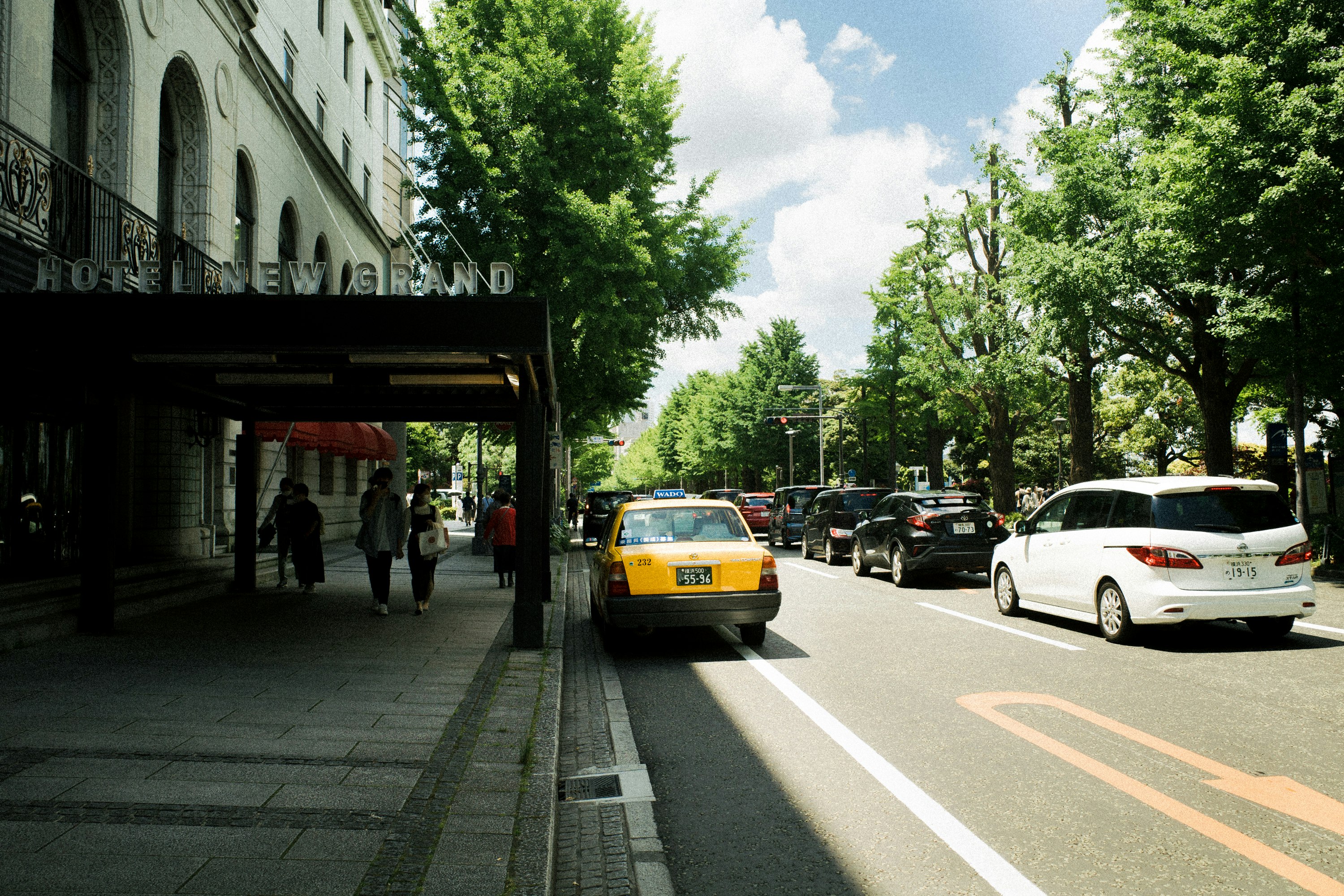 横浜の街路樹の並ぶ通りの歩道と車