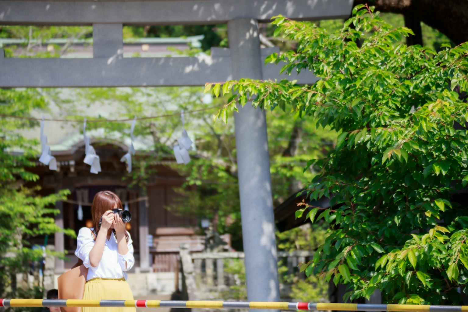 在神社前拿著相機的女性 背後是綠色的樹木和鳥居