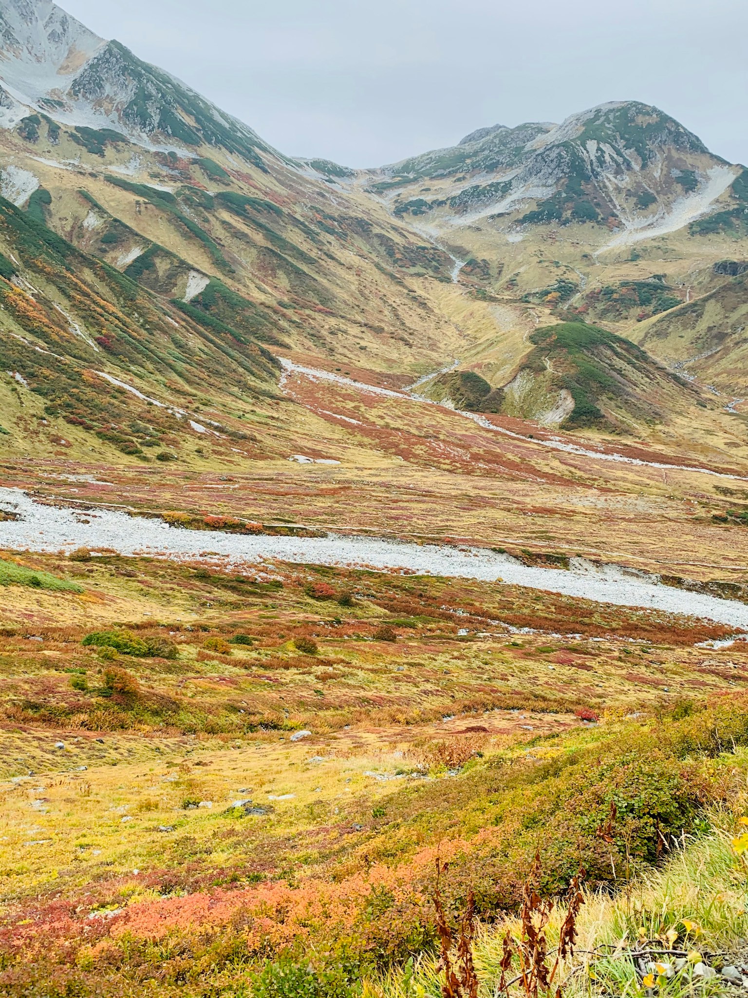 Paesaggio bello con montagne e prati colorati