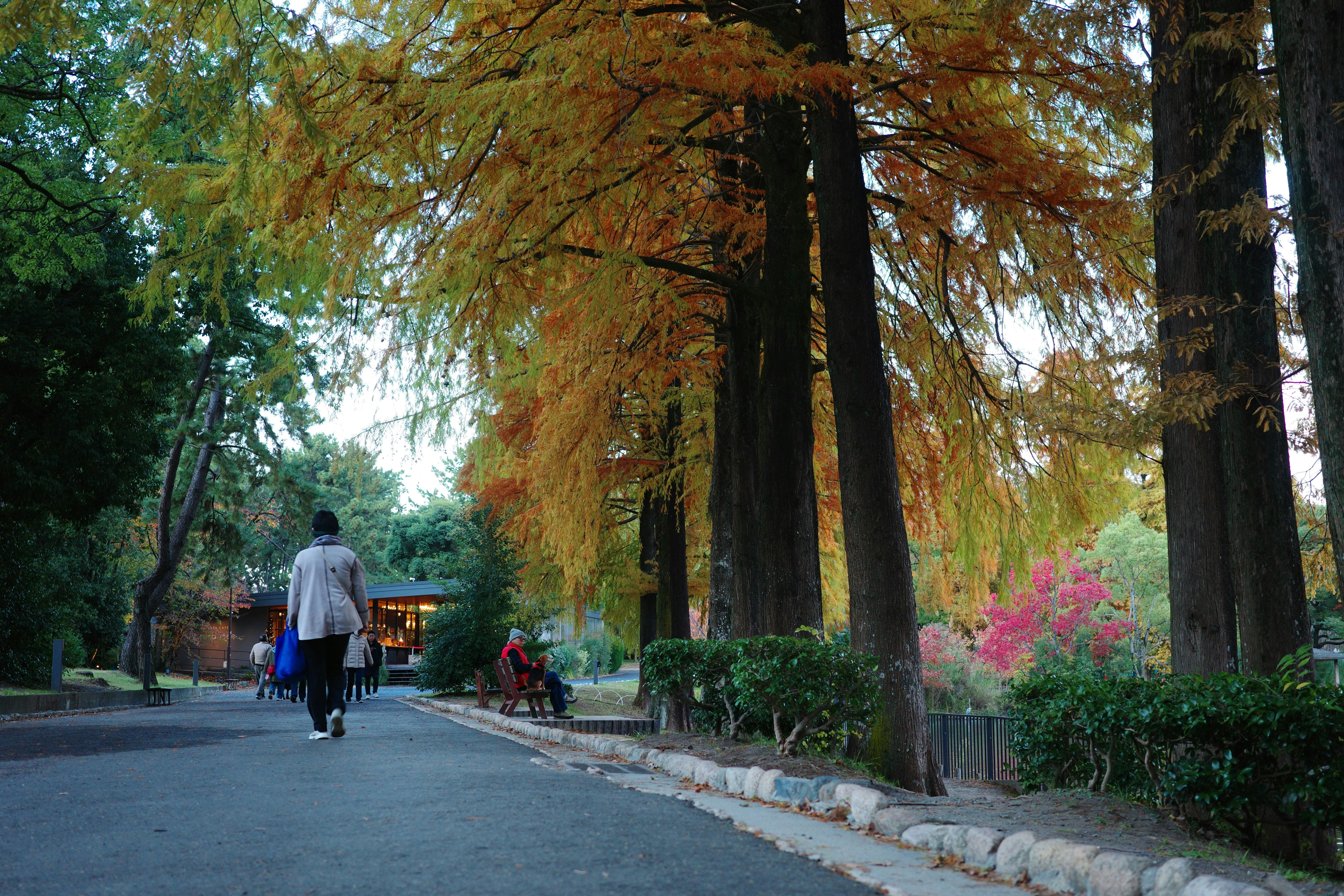 Parkweg mit Spaziergängern unter herbstlichen Bäumen