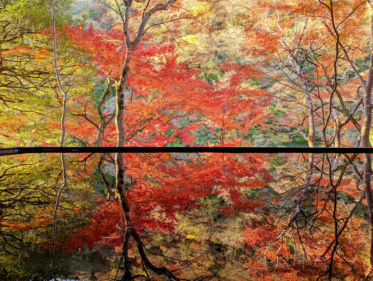 Bellissimo fogliame autunnale riflesso sulla superficie dell'acqua