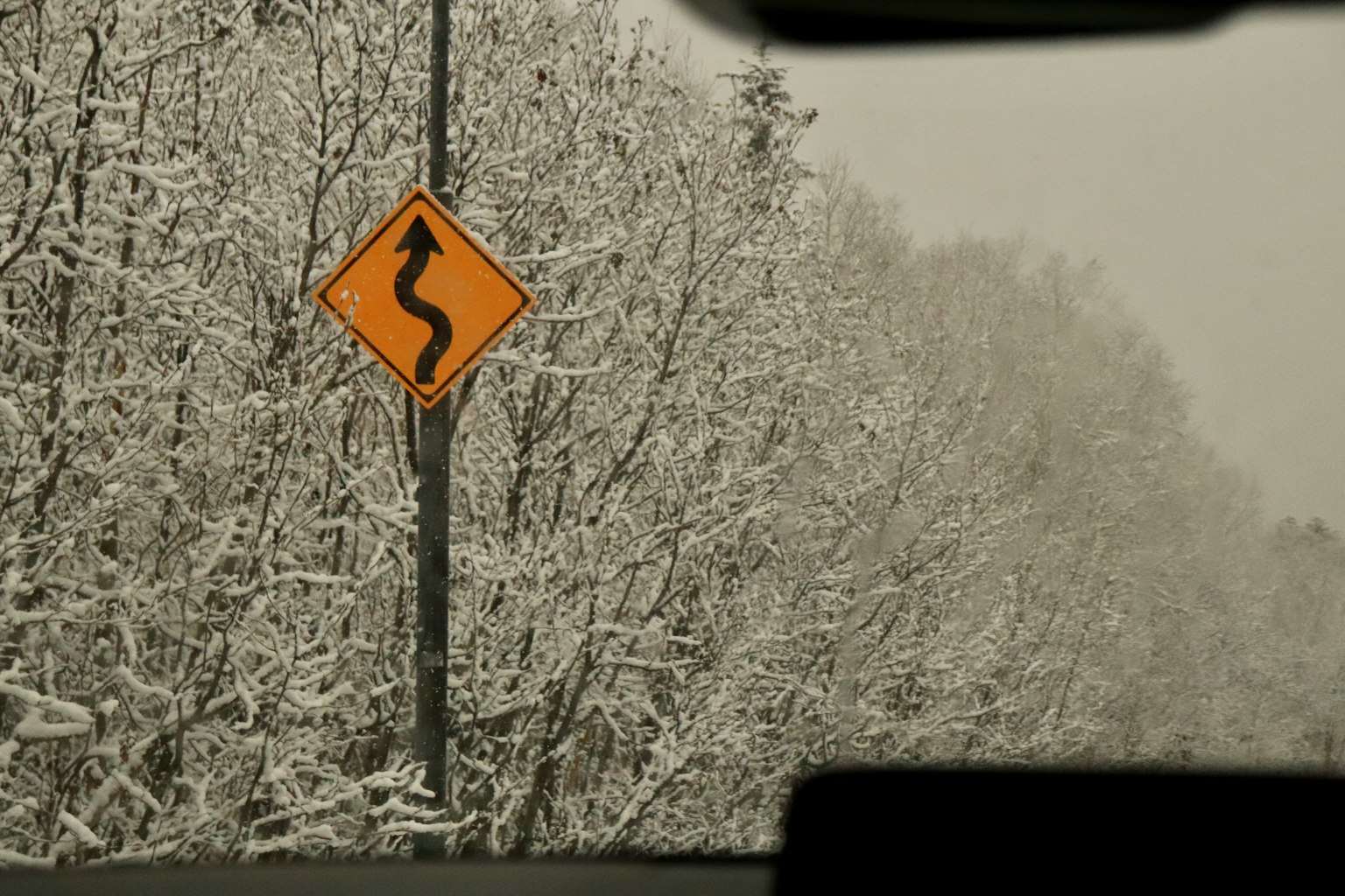 冬季场景，雪覆盖的树木和弯曲的道路标志