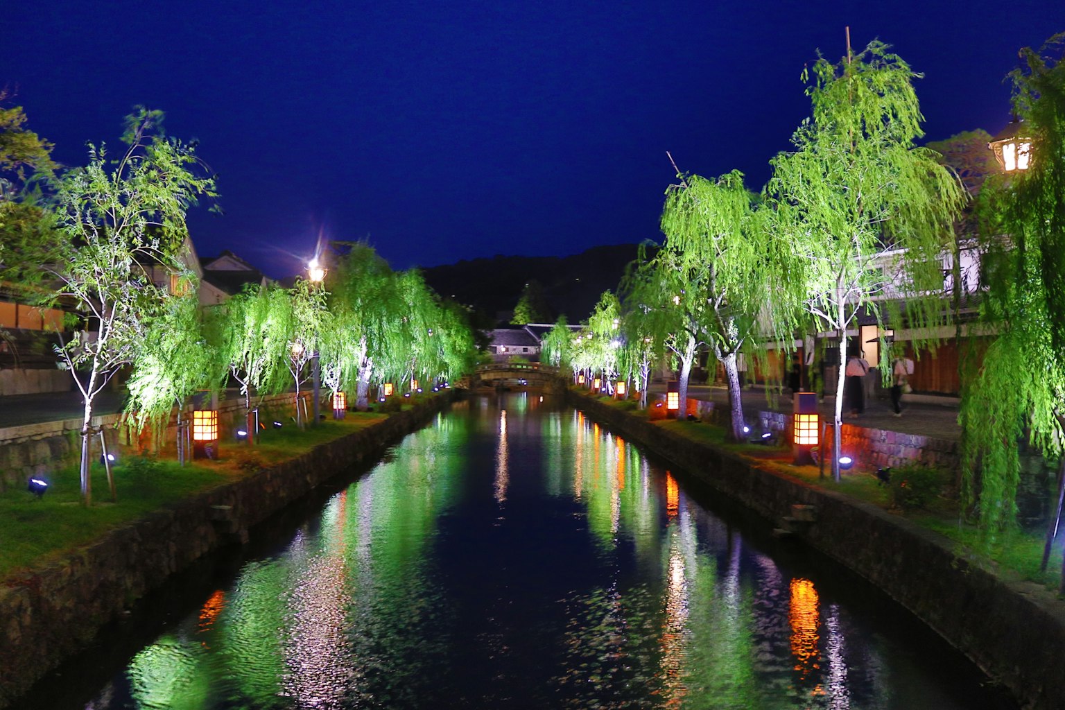 Beautiful night view of a river lined with green trees and glowing lights