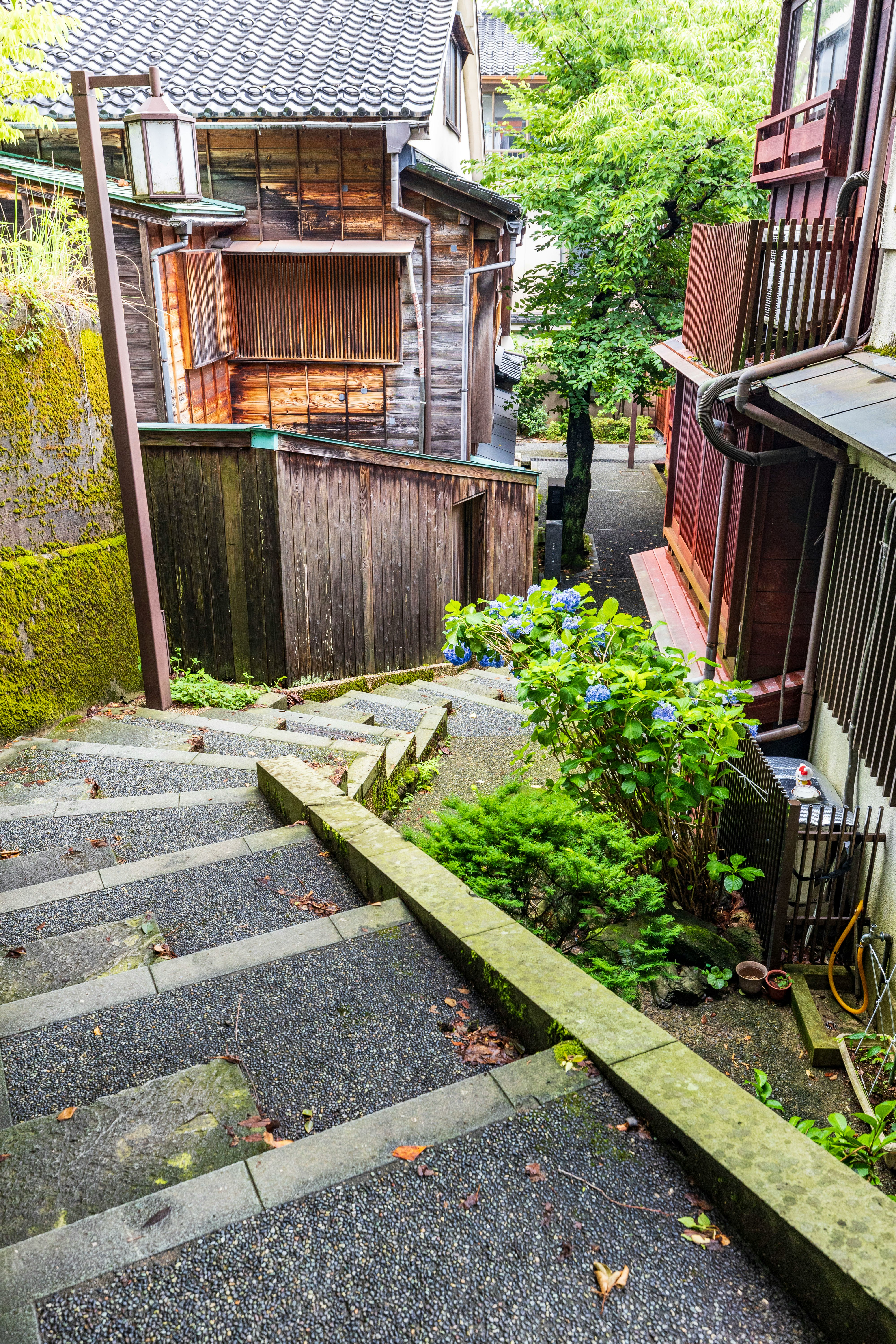 石畳の小道と段差のある路地の風景