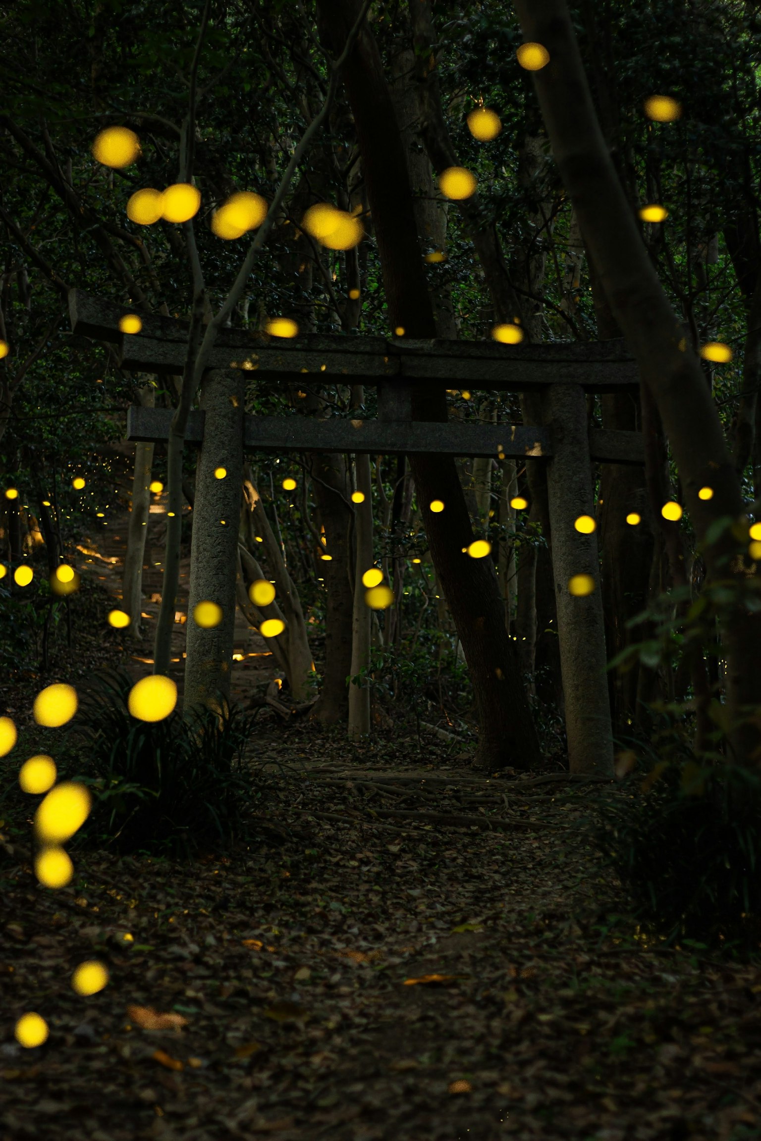 Ein Weg in einem dunklen Wald, beleuchtet von leuchtenden Glühwürmchen