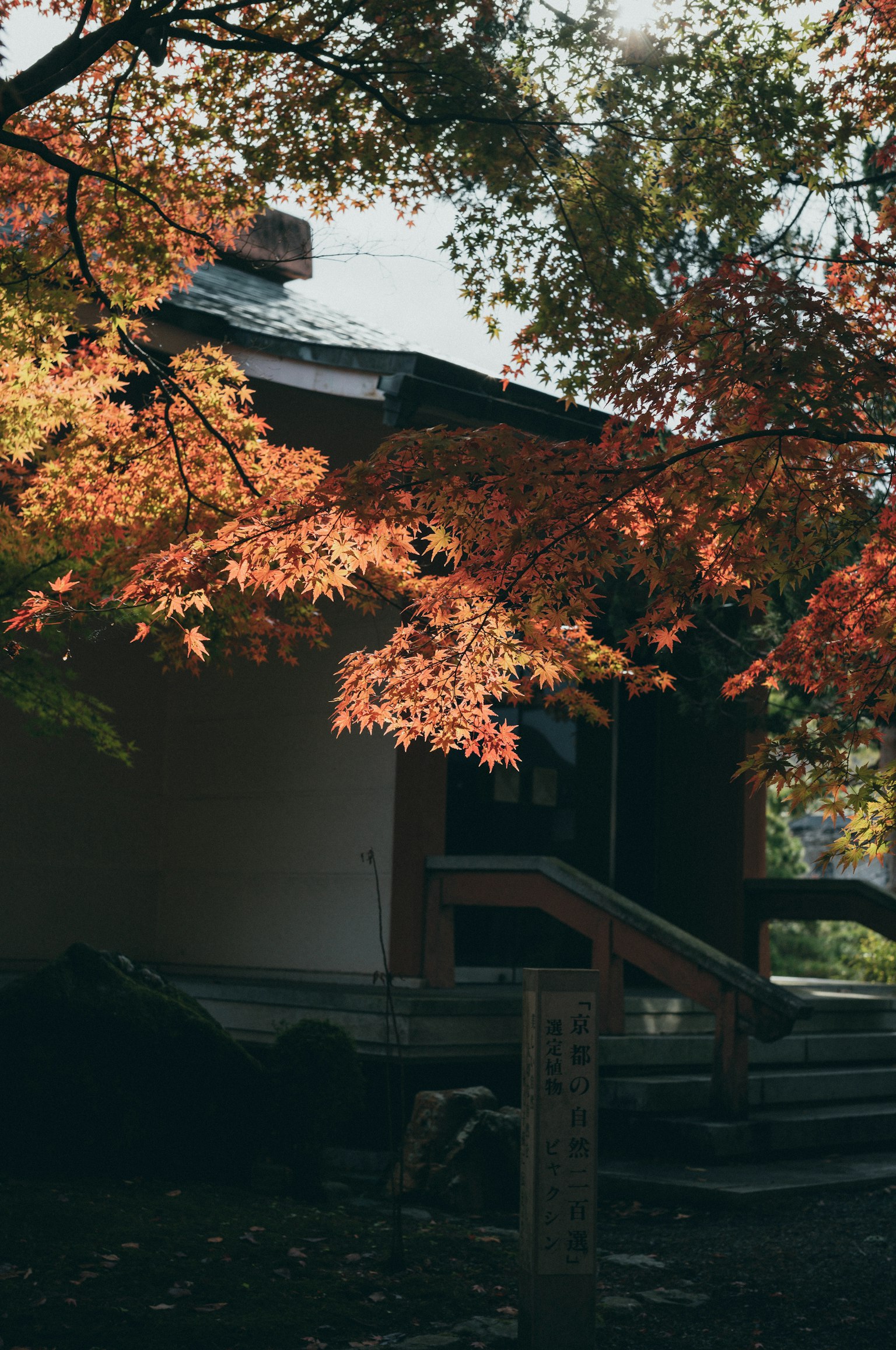 Maison japonaise traditionnelle entourée de feuillage d'automne