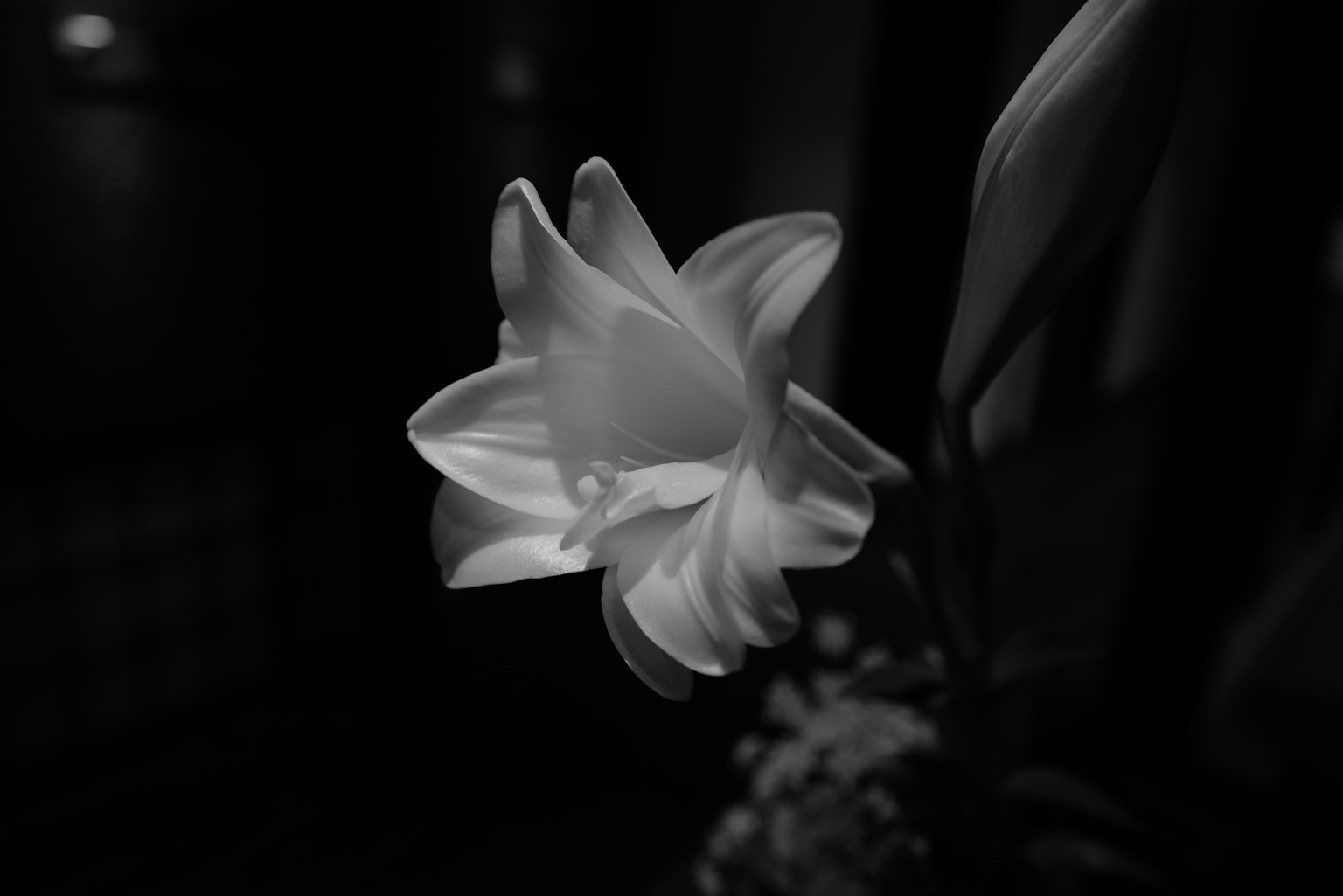photo-ViFMvbQw79T9BvATlPb0-image