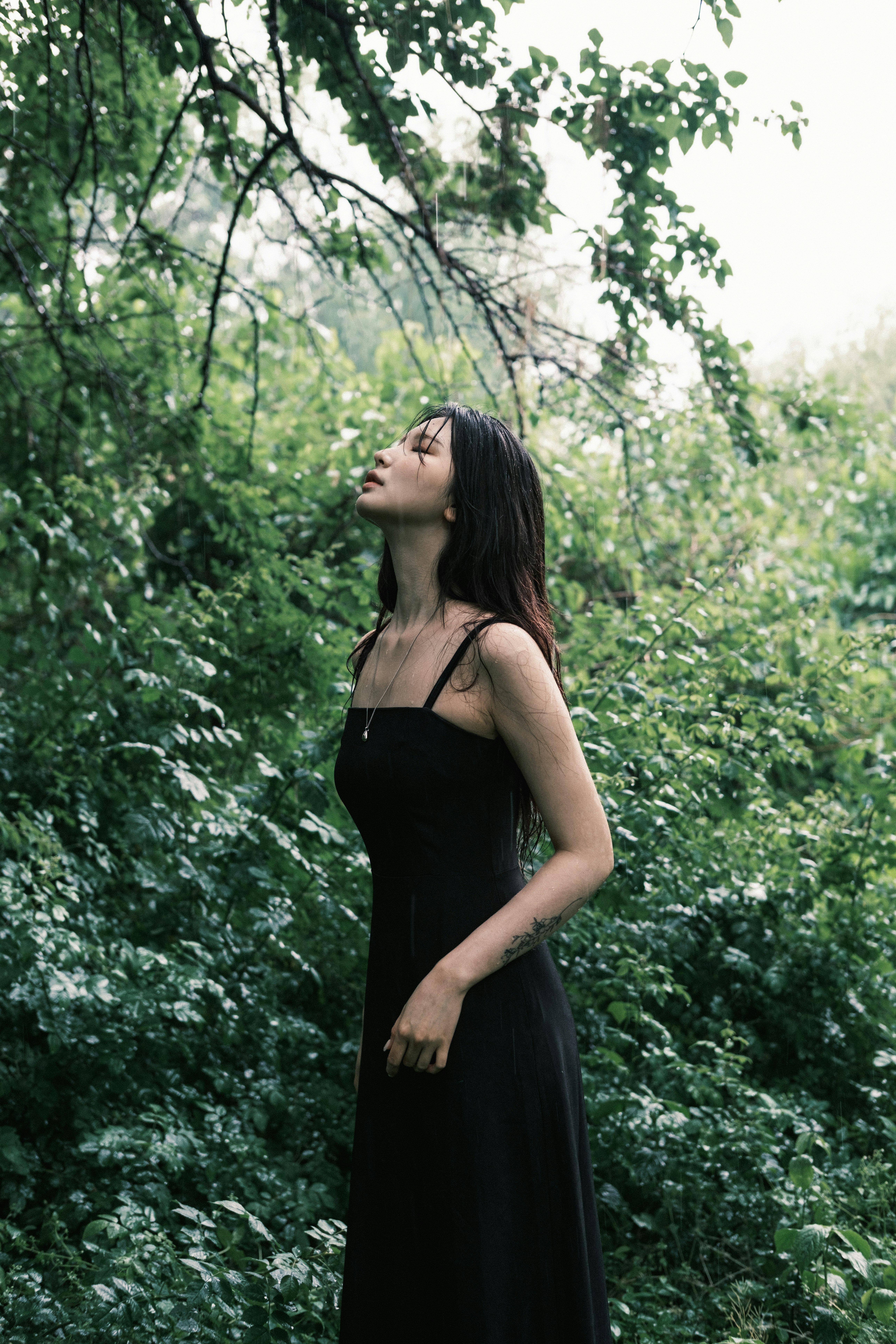 緑の茂みの中で黒いドレスの女性が見上げる